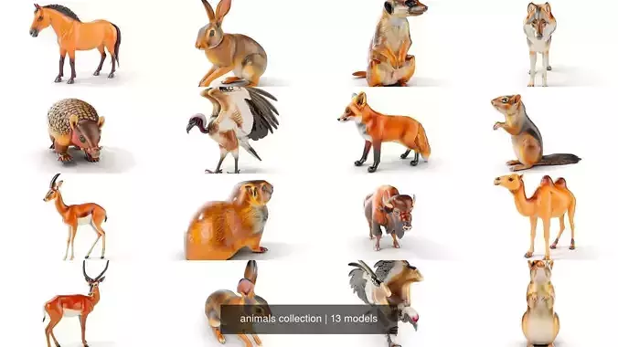 animals collection 