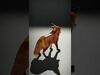 animals collection _11
