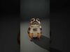 animals collection _17