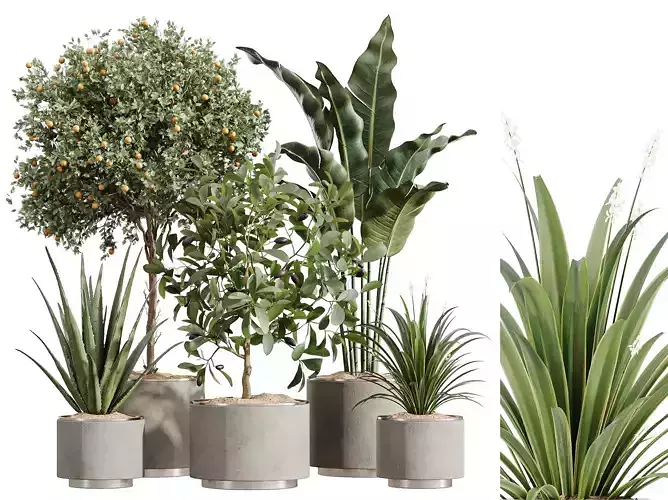 AV Indoor Plants Set 249