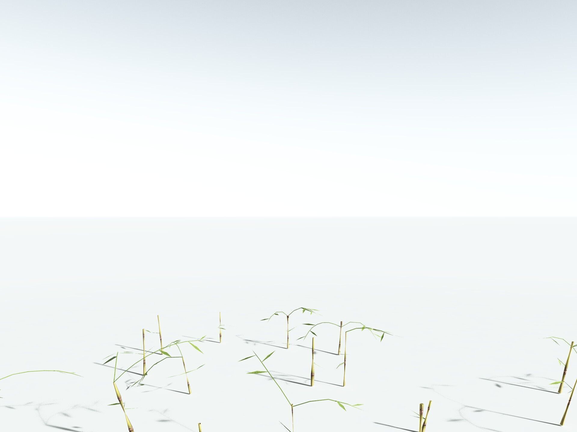 EVERYPlant Common Bamboo LowPoly Low-poly 3D model_29