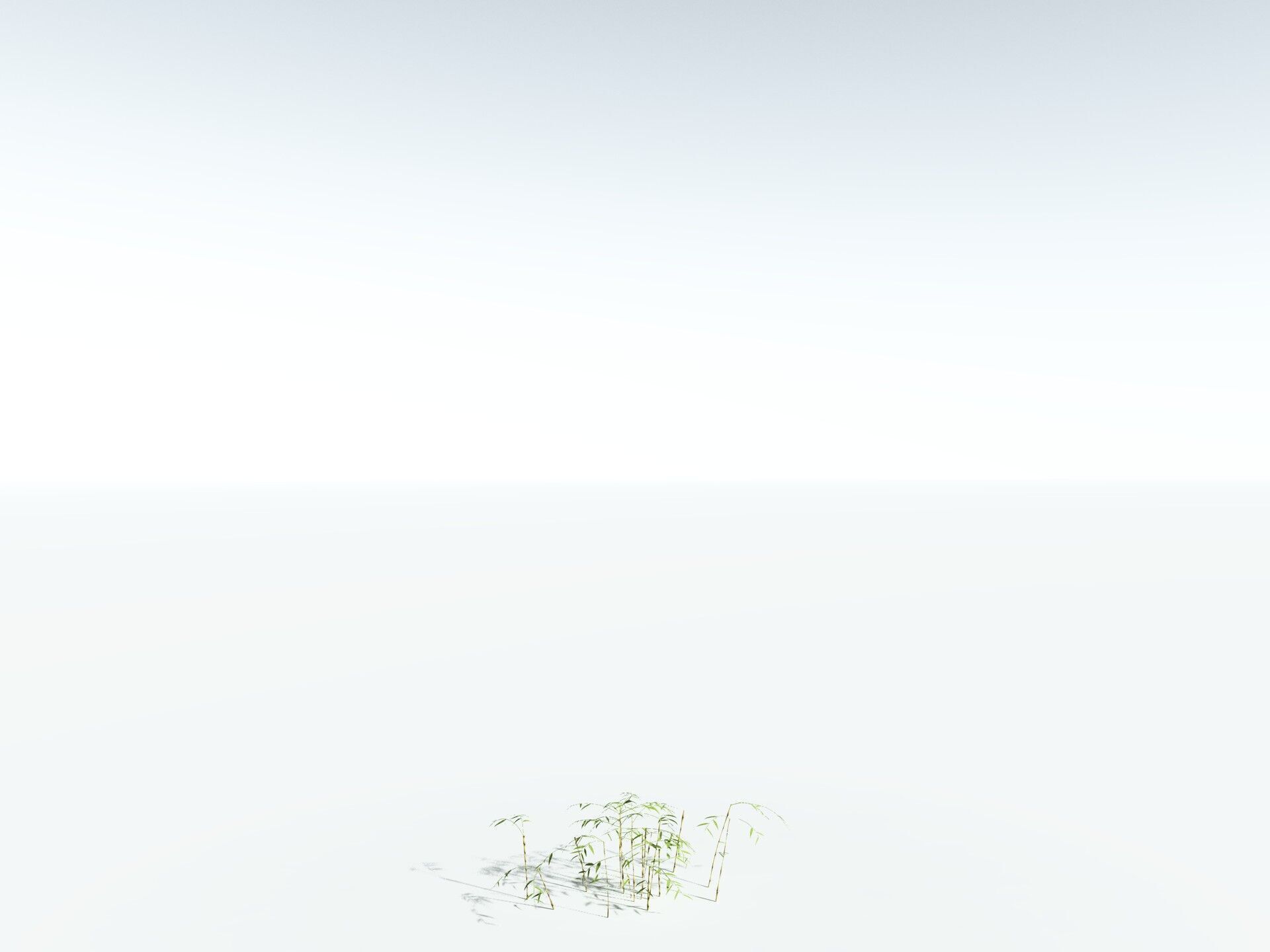 EVERYPlant Common Bamboo LowPoly Low-poly 3D model_26