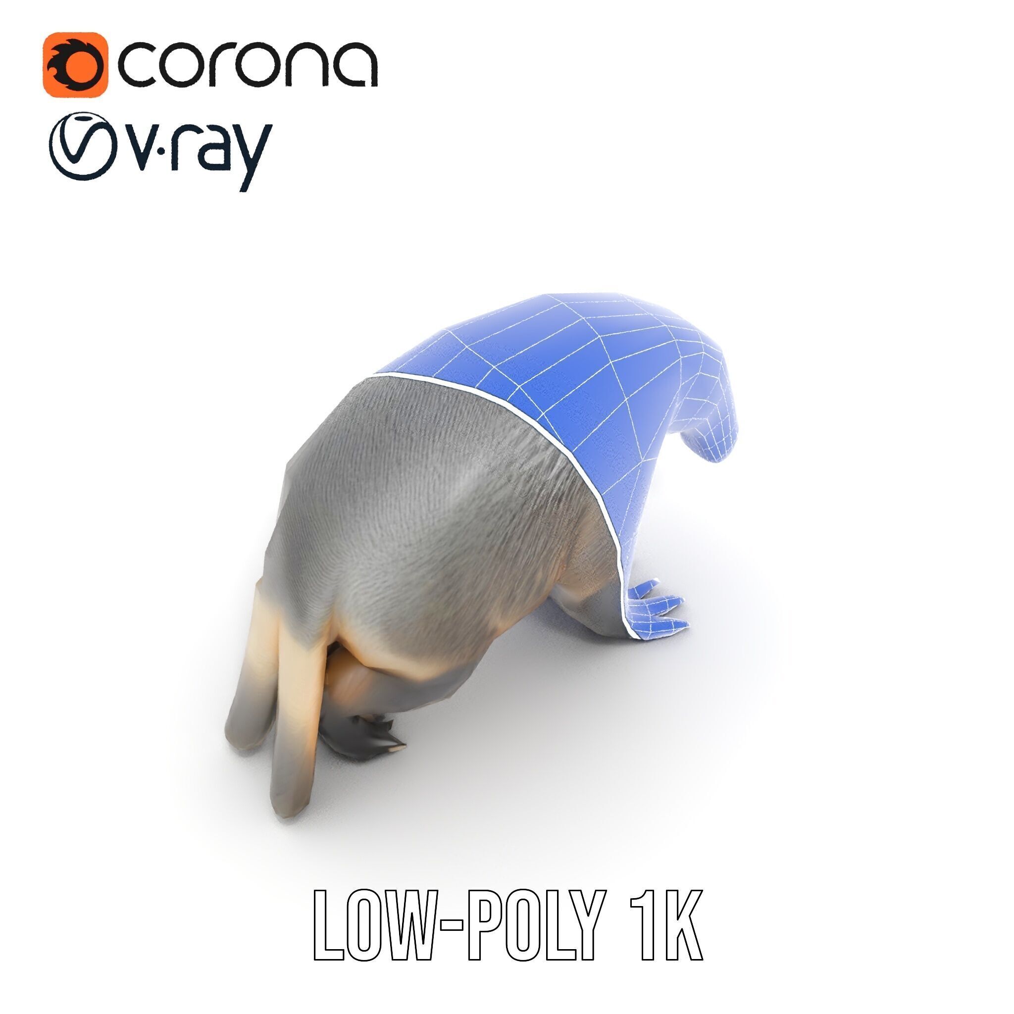 Anteater Model Pack  Detailed and Versatile D Creature Low-poly 3D model_30