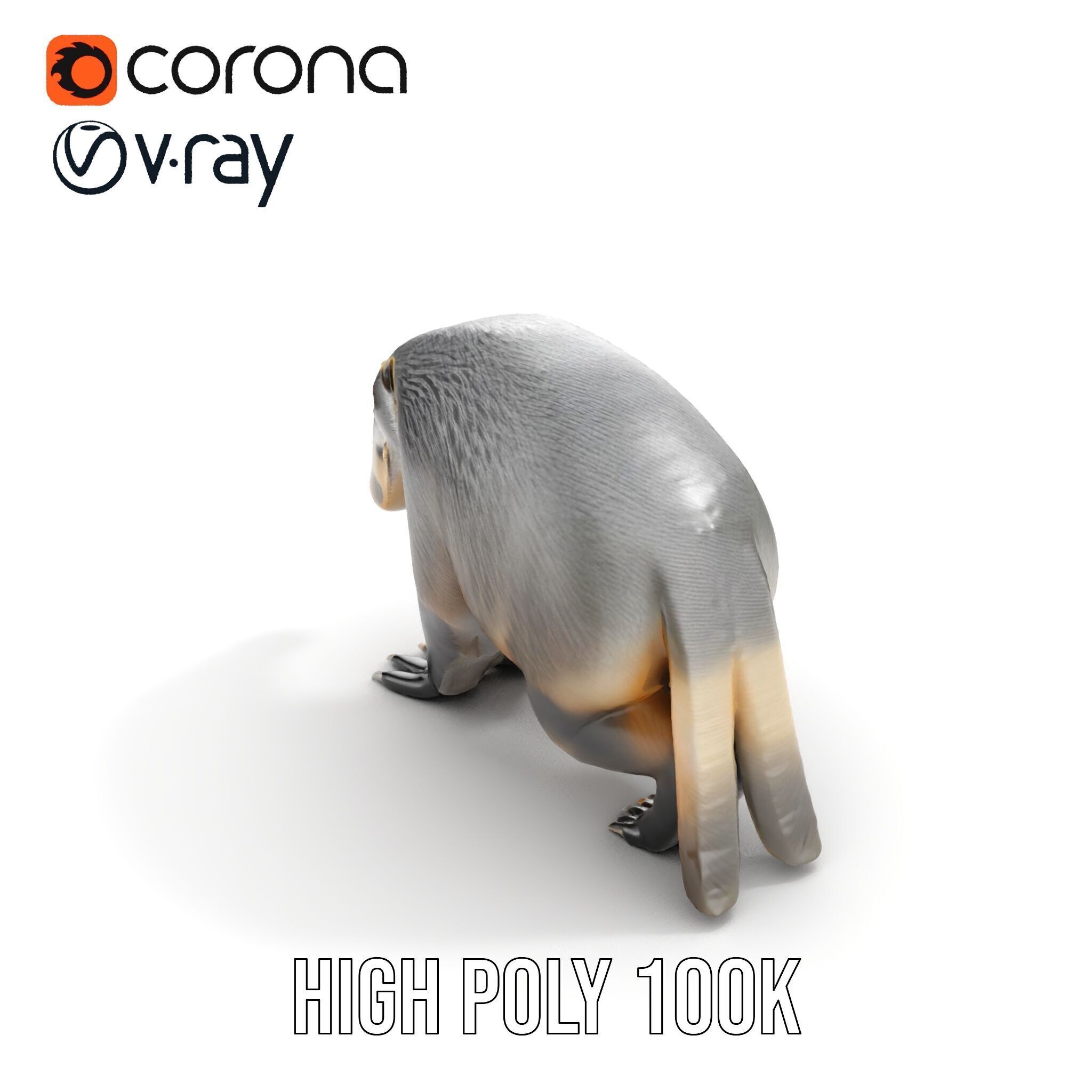Anteater Model Pack  Detailed and Versatile D Creature Low-poly 3D model_20
