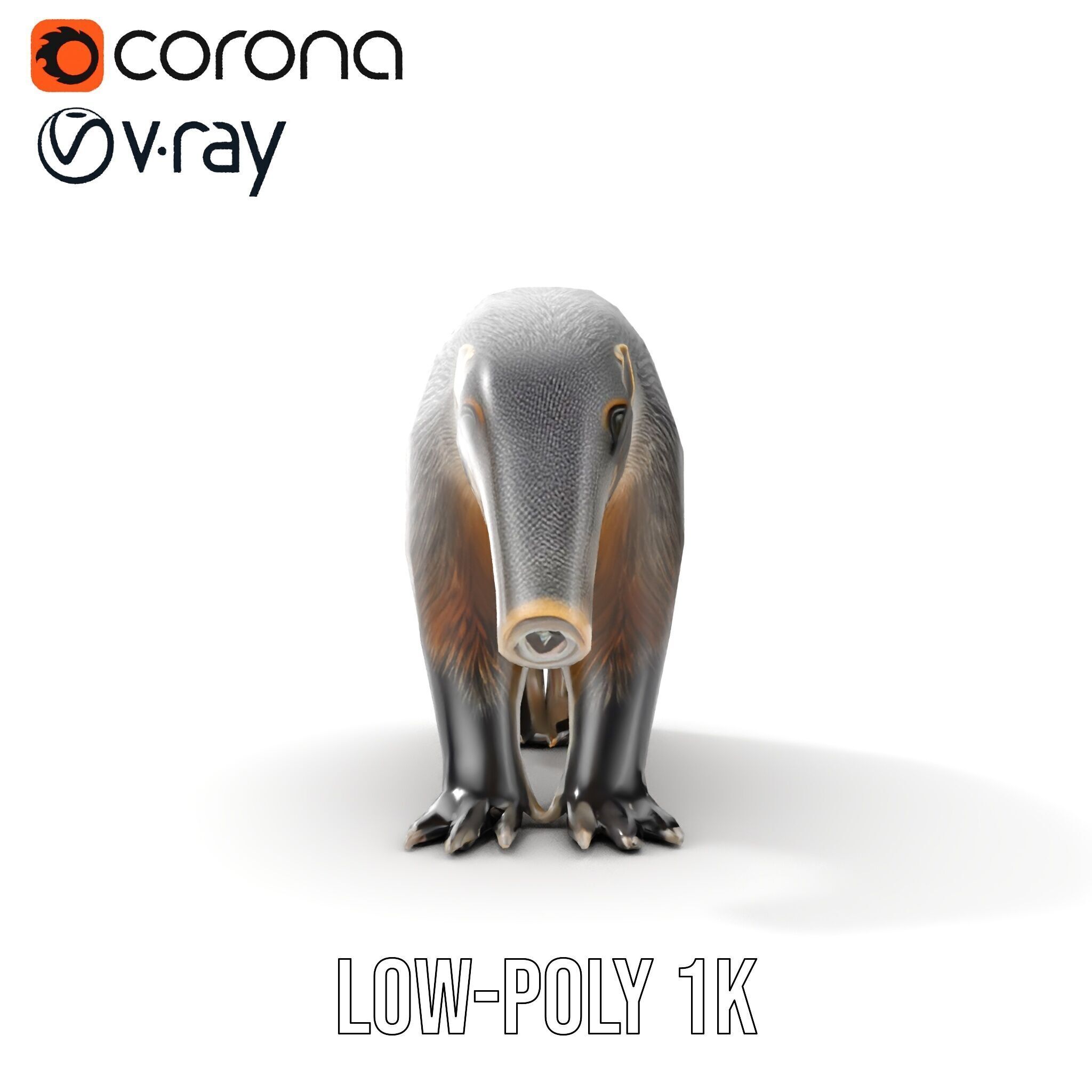Anteater Model Pack  Detailed and Versatile D Creature Low-poly 3D model_17