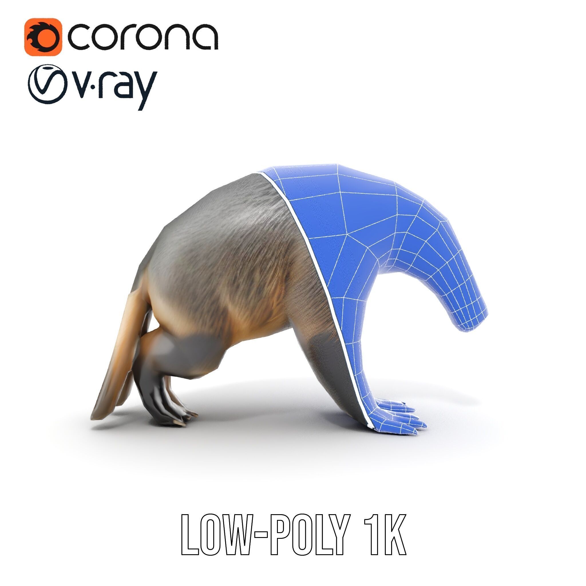 Anteater Model Pack  Detailed and Versatile D Creature Low-poly 3D model_28