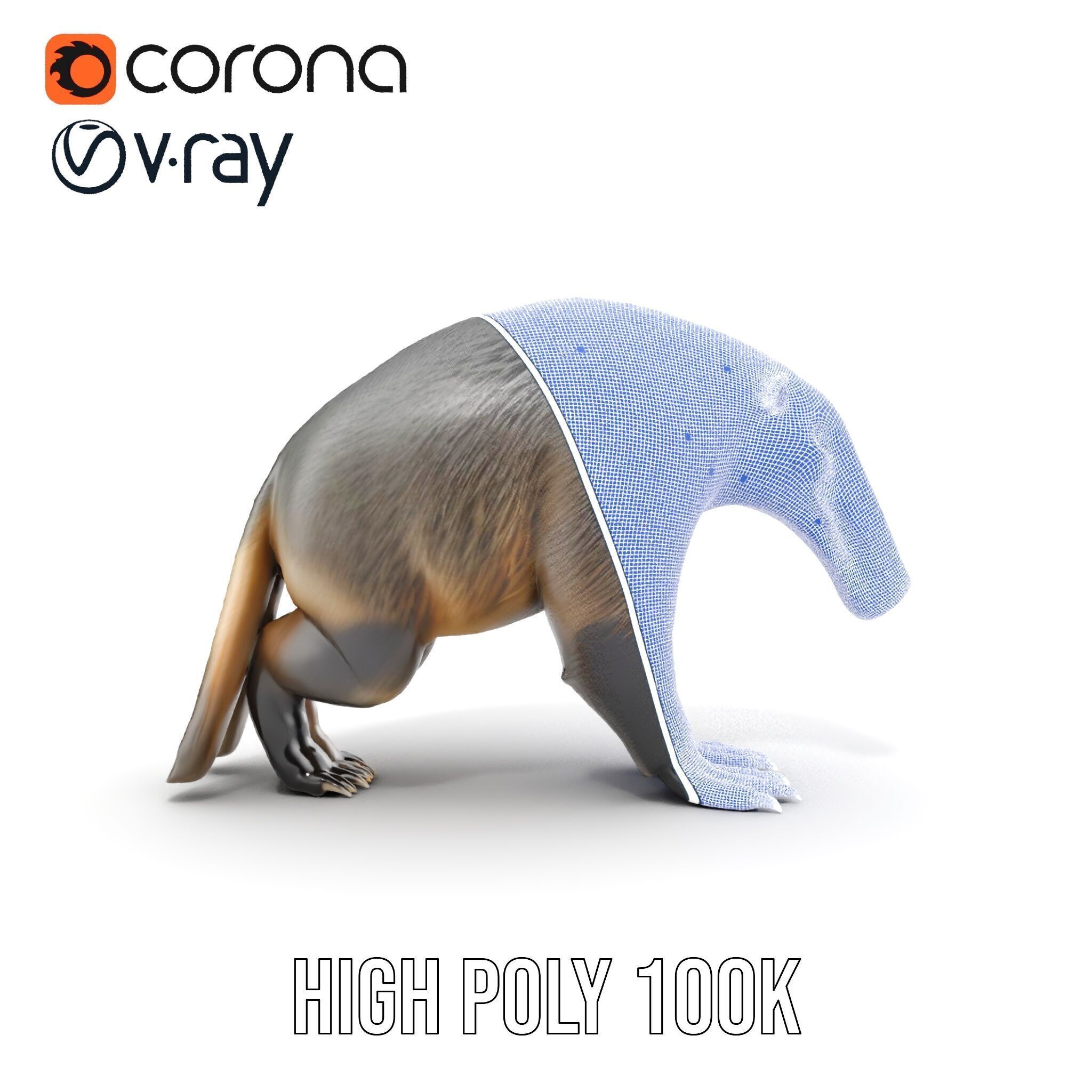 Anteater Model Pack  Detailed and Versatile D Creature Low-poly 3D model_38