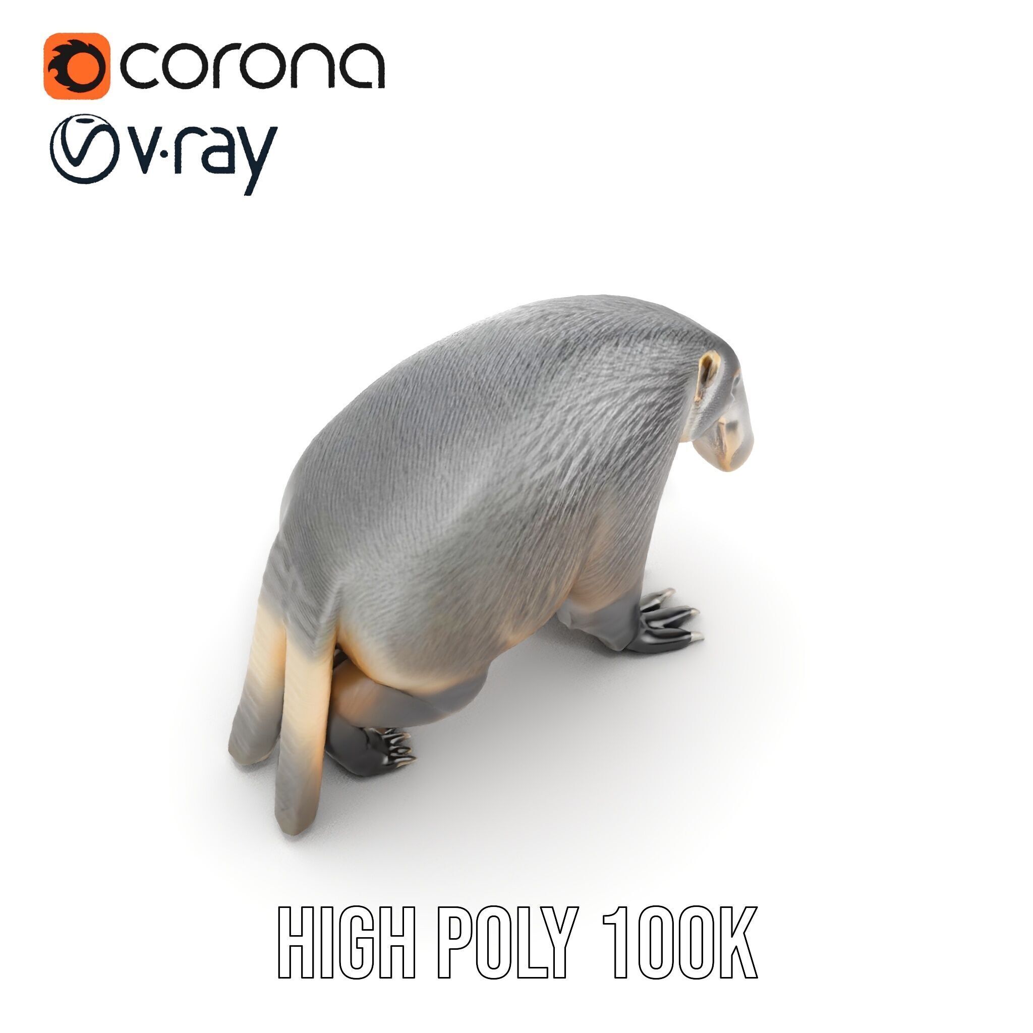 Anteater Model Pack  Detailed and Versatile D Creature Low-poly 3D model_23