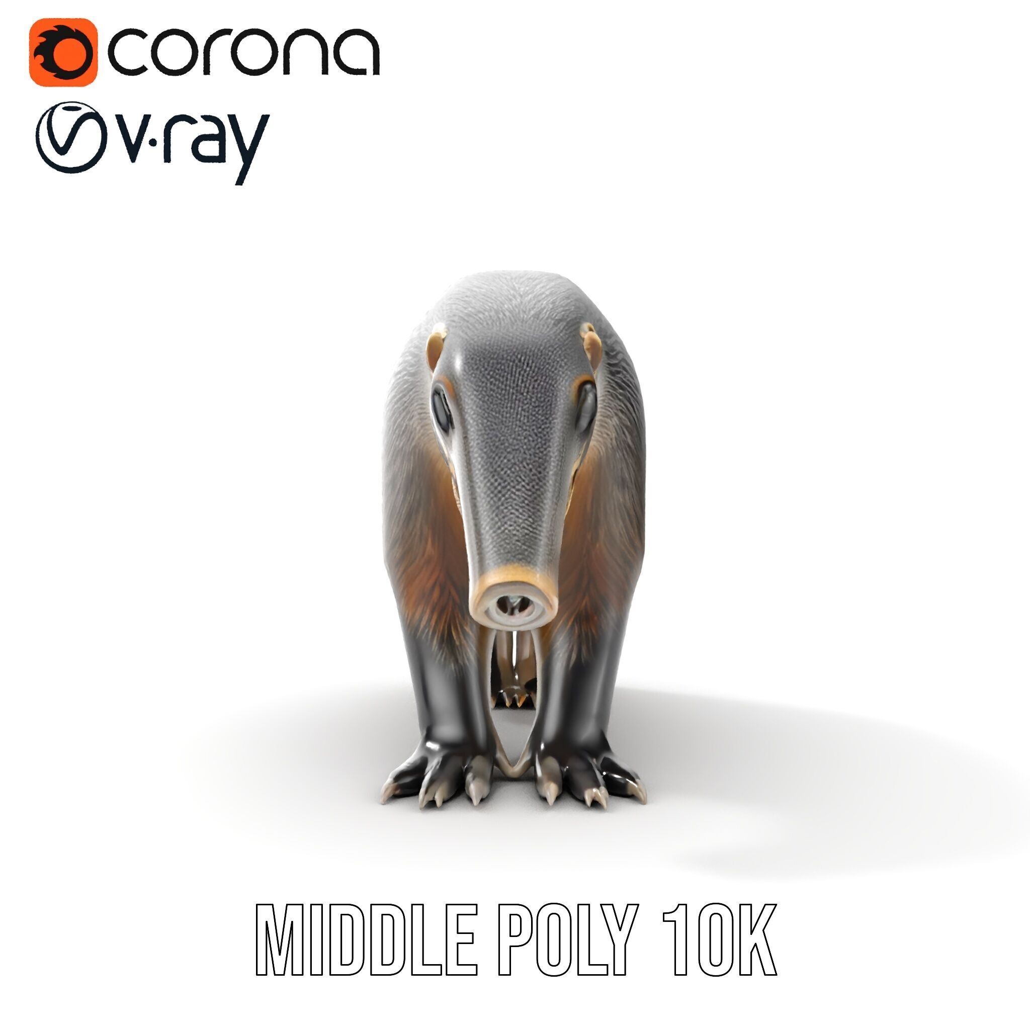 Anteater Model Pack  Detailed and Versatile D Creature Low-poly 3D model_10