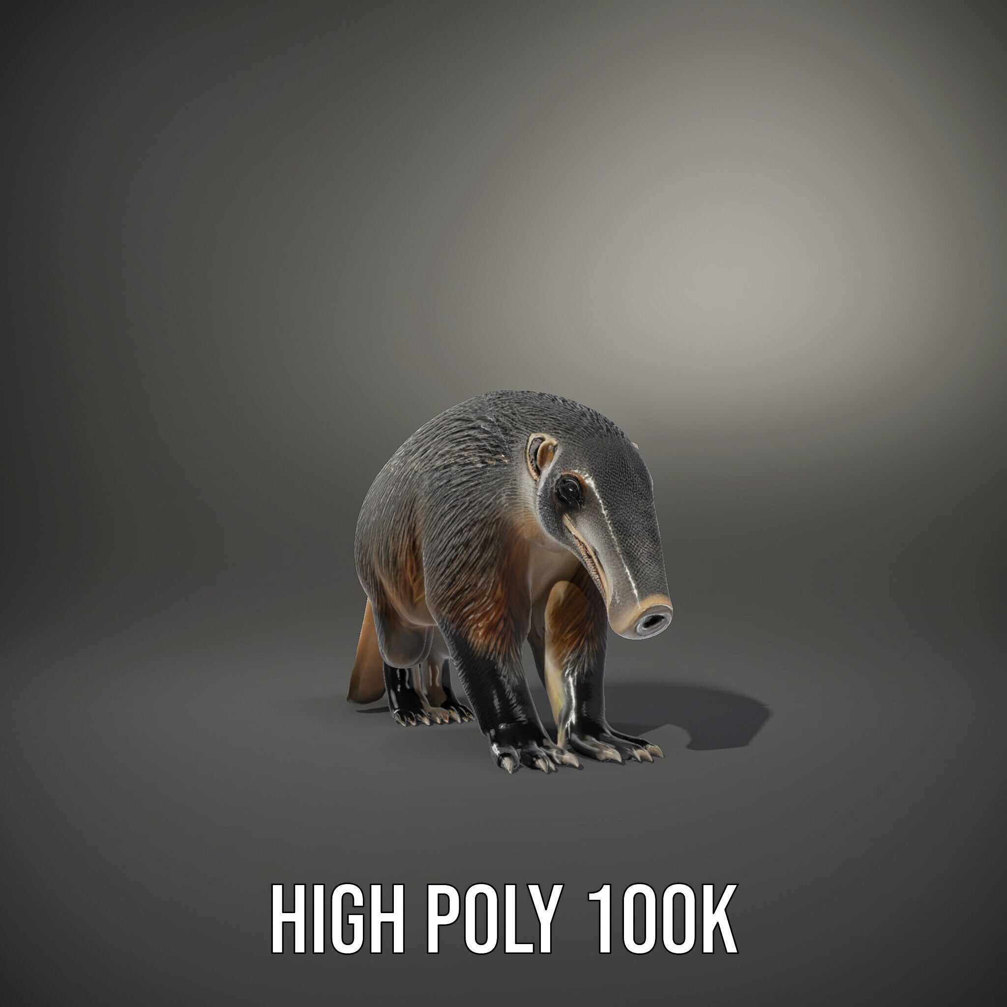 Anteater Model Pack  Detailed and Versatile D Creature Low-poly 3D model_9