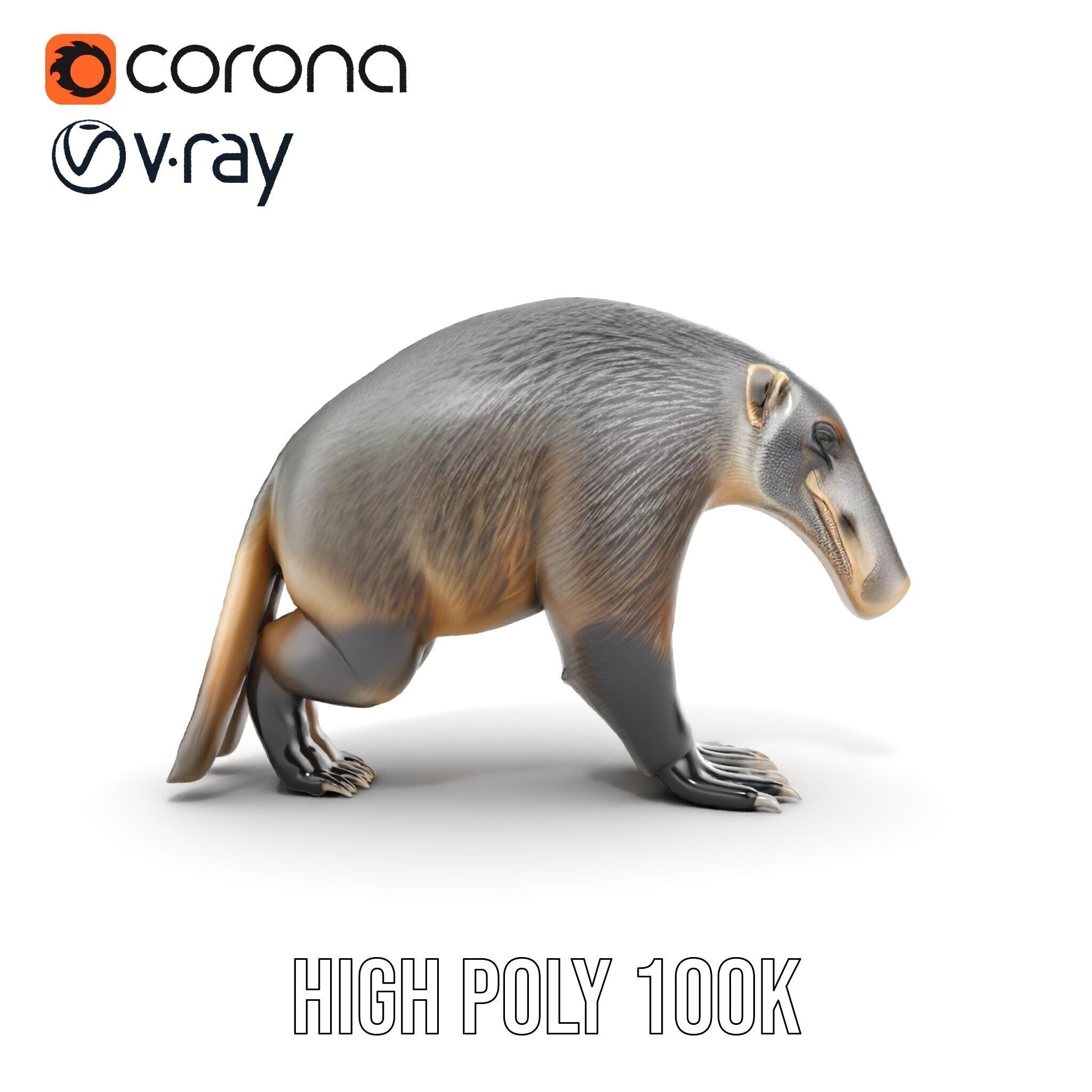 Anteater Model Pack  Detailed and Versatile D Creature Low-poly 3D model_36