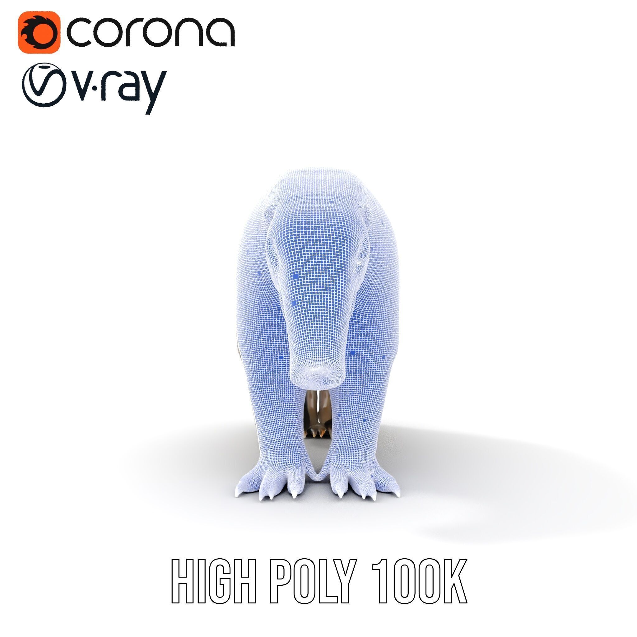 Anteater Model Pack  Detailed and Versatile D Creature Low-poly 3D model_39