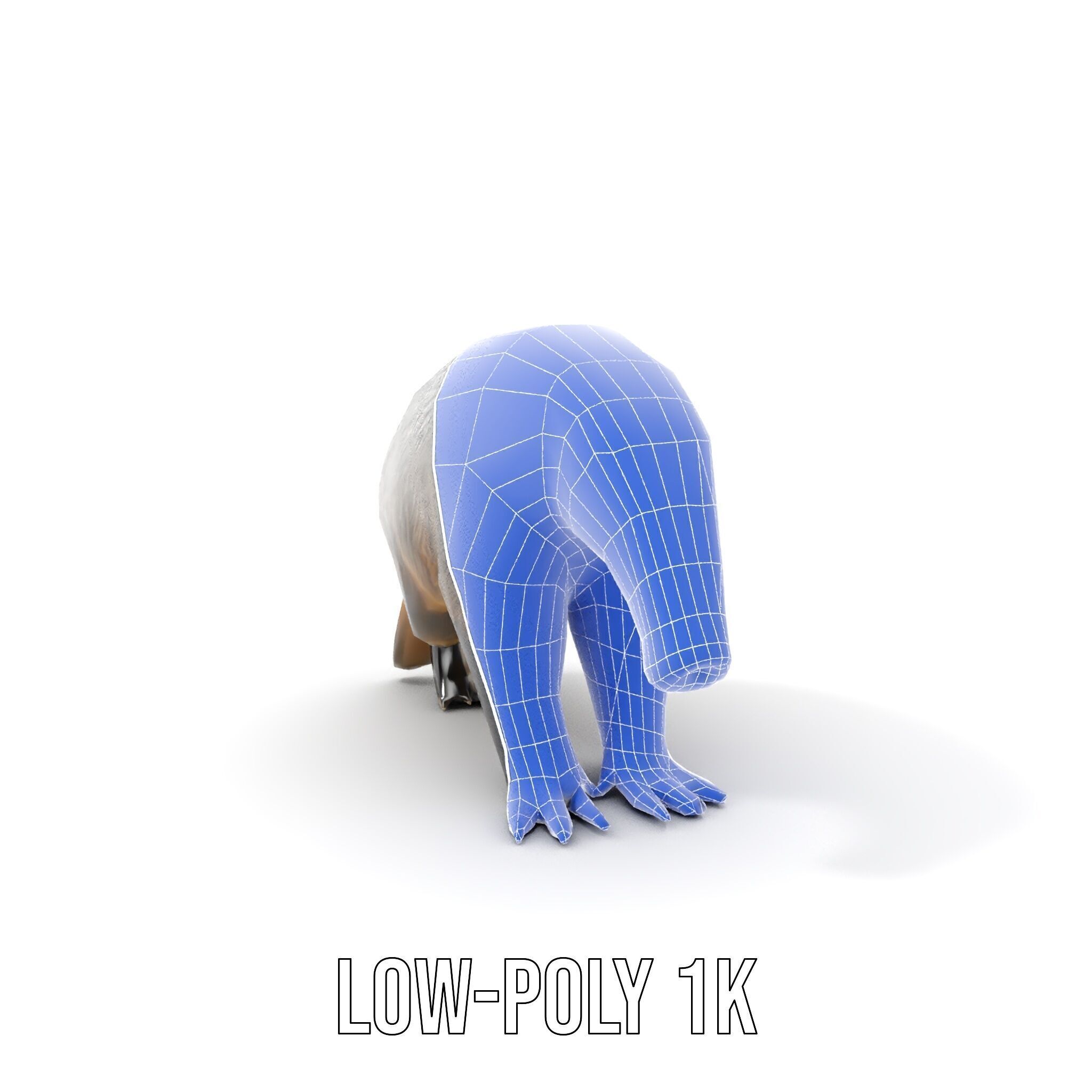 Anteater Model Pack  Detailed and Versatile D Creature Low-poly 3D model_19
