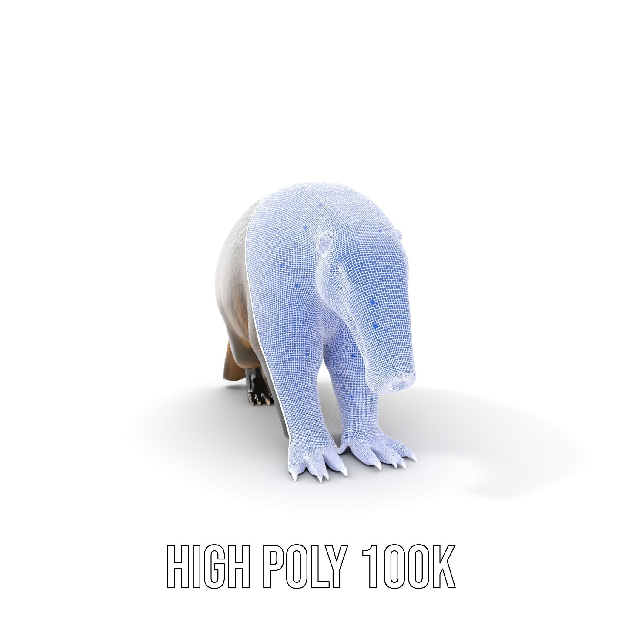 Anteater Model Pack  Detailed and Versatile D Creature Low-poly 3D model_5