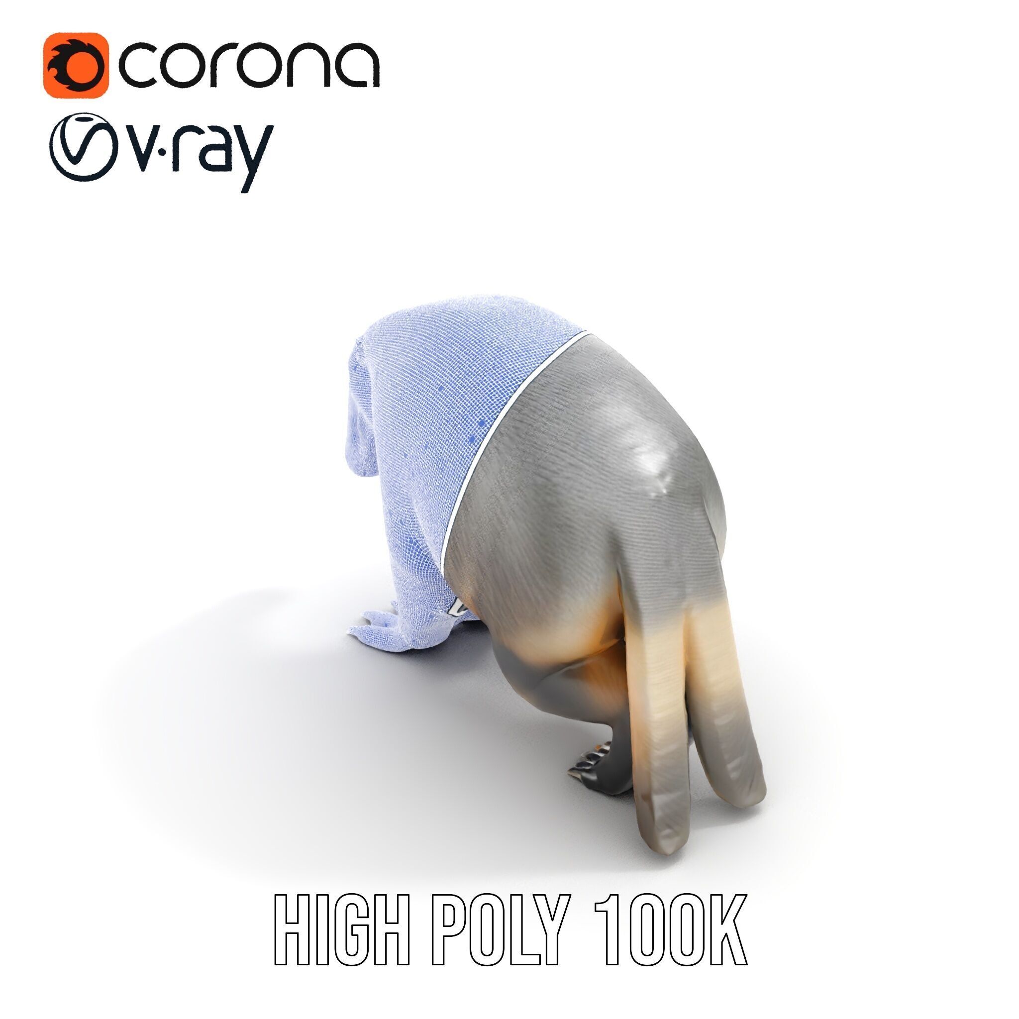 Anteater Model Pack  Detailed and Versatile D Creature Low-poly 3D model_31