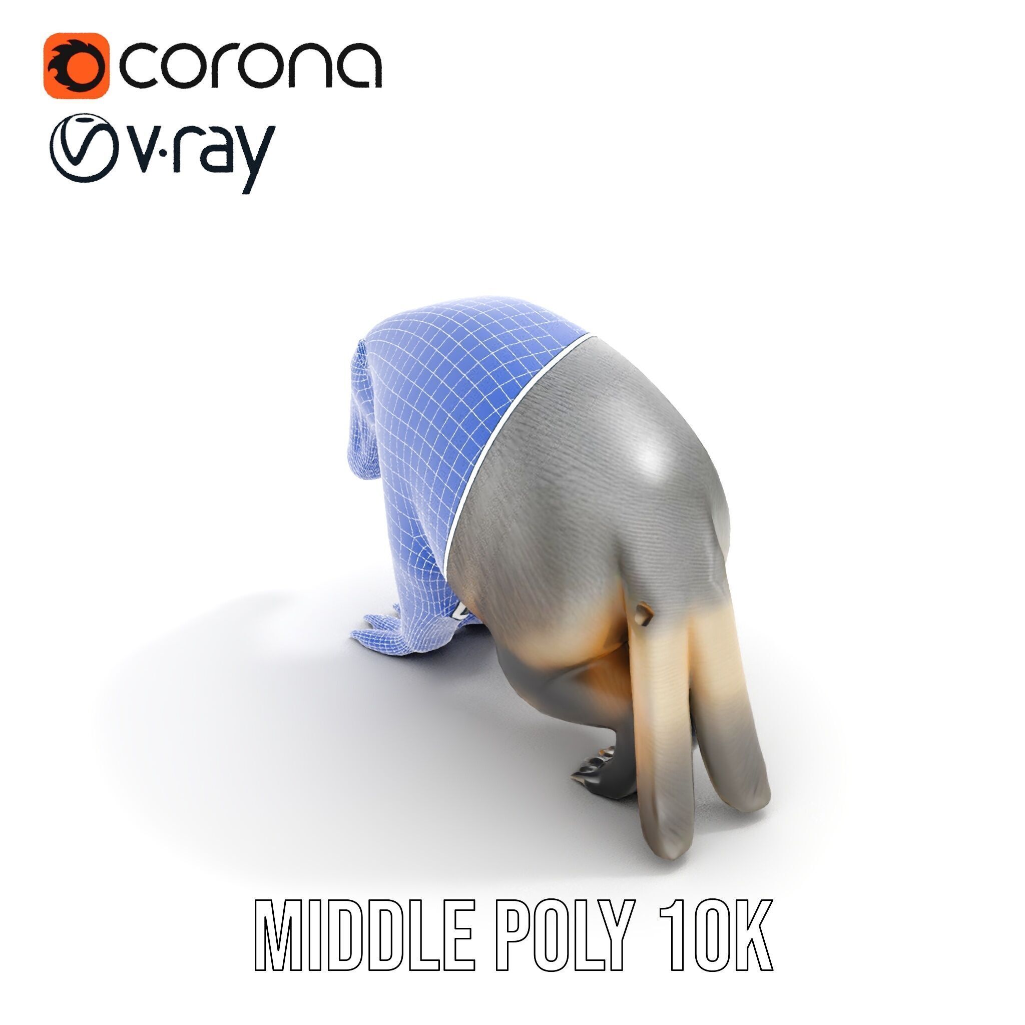 Anteater Model Pack  Detailed and Versatile D Creature Low-poly 3D model_24