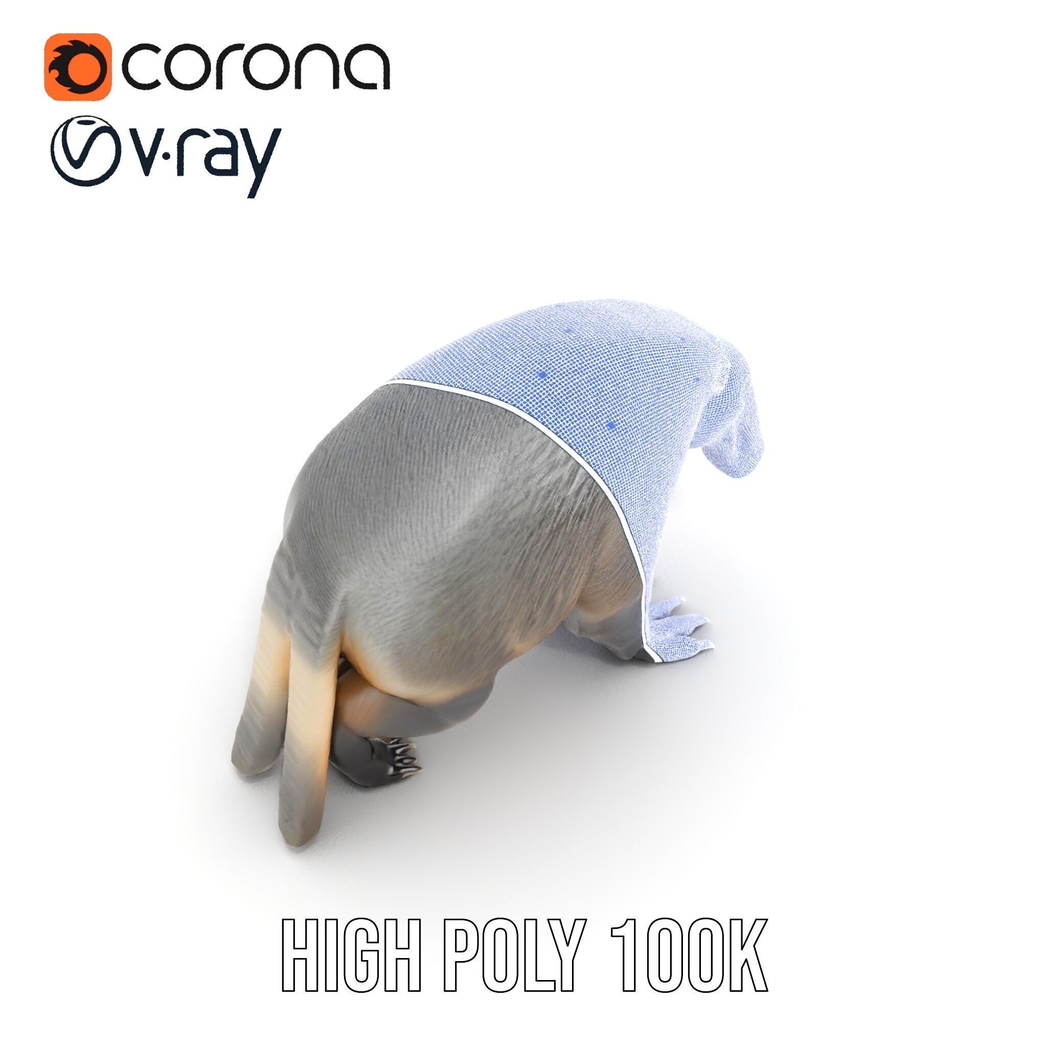 Anteater Model Pack  Detailed and Versatile D Creature Low-poly 3D model_37