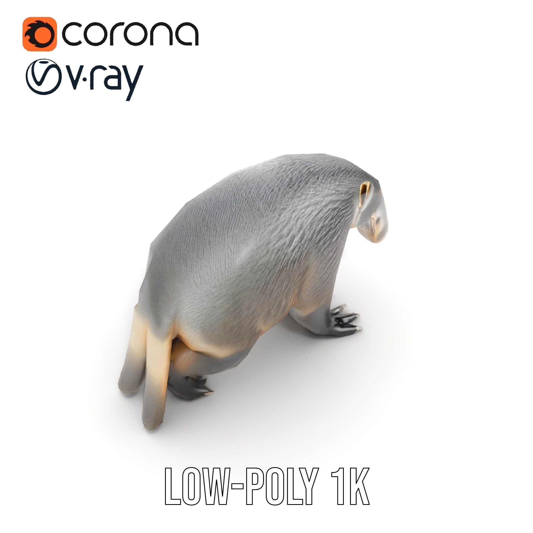 Anteater Model Pack  Detailed and Versatile D Creature Low-poly 3D model_25