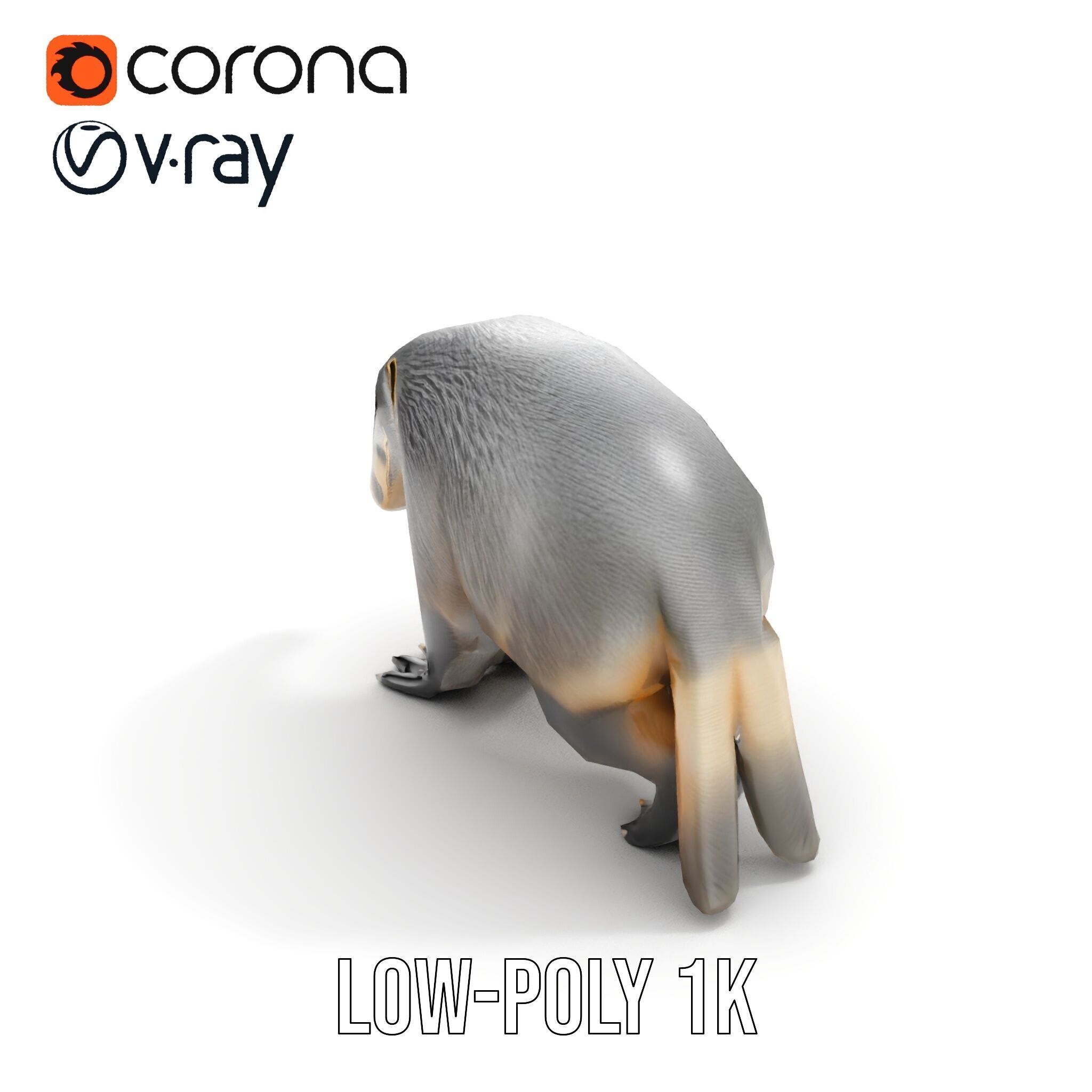 Anteater Model Pack  Detailed and Versatile D Creature Low-poly 3D model_11