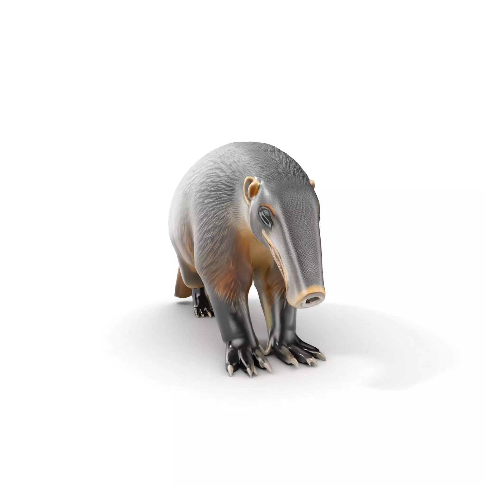 Anteater Model Pack  Detailed and Versatile D Creature Low-poly 3D model_0