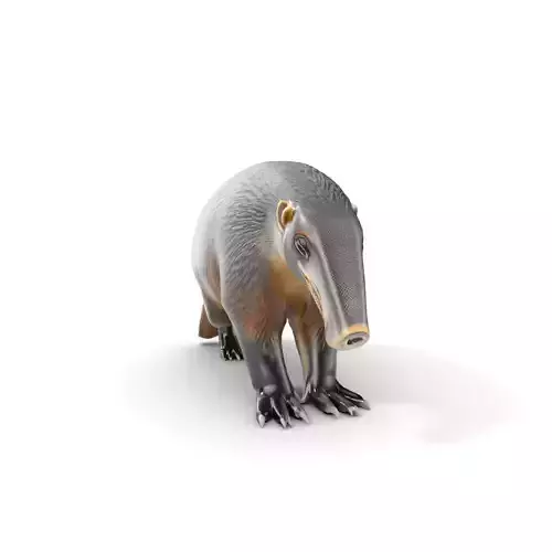 Anteater Model Pack  Detailed and Versatile D Creature Low-poly 3D model