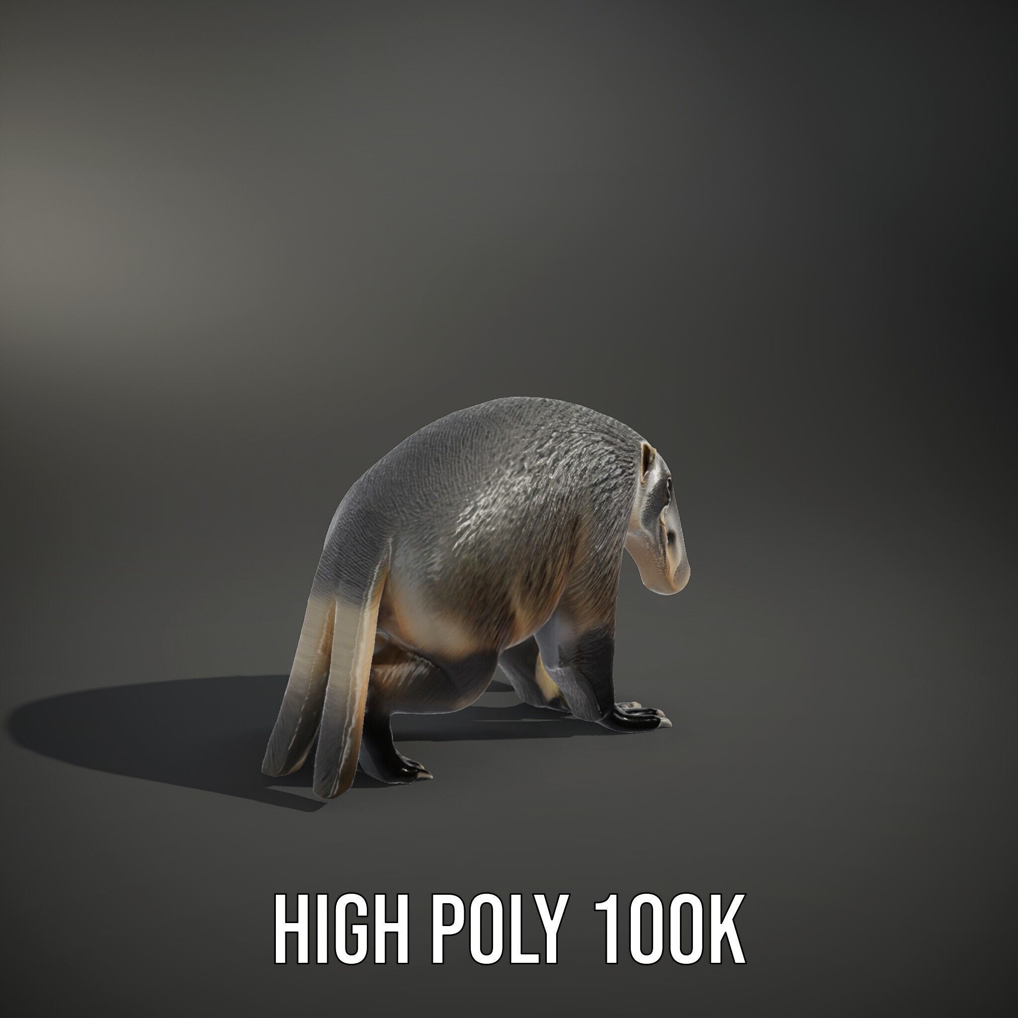 Anteater Model Pack  Detailed and Versatile D Creature Low-poly 3D model_12
