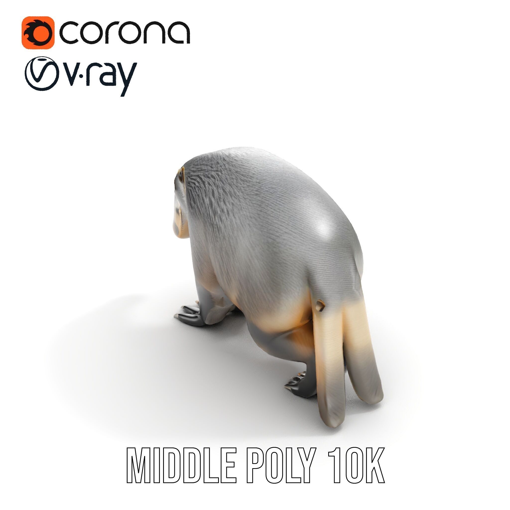 Anteater Model Pack  Detailed and Versatile D Creature Low-poly 3D model_7