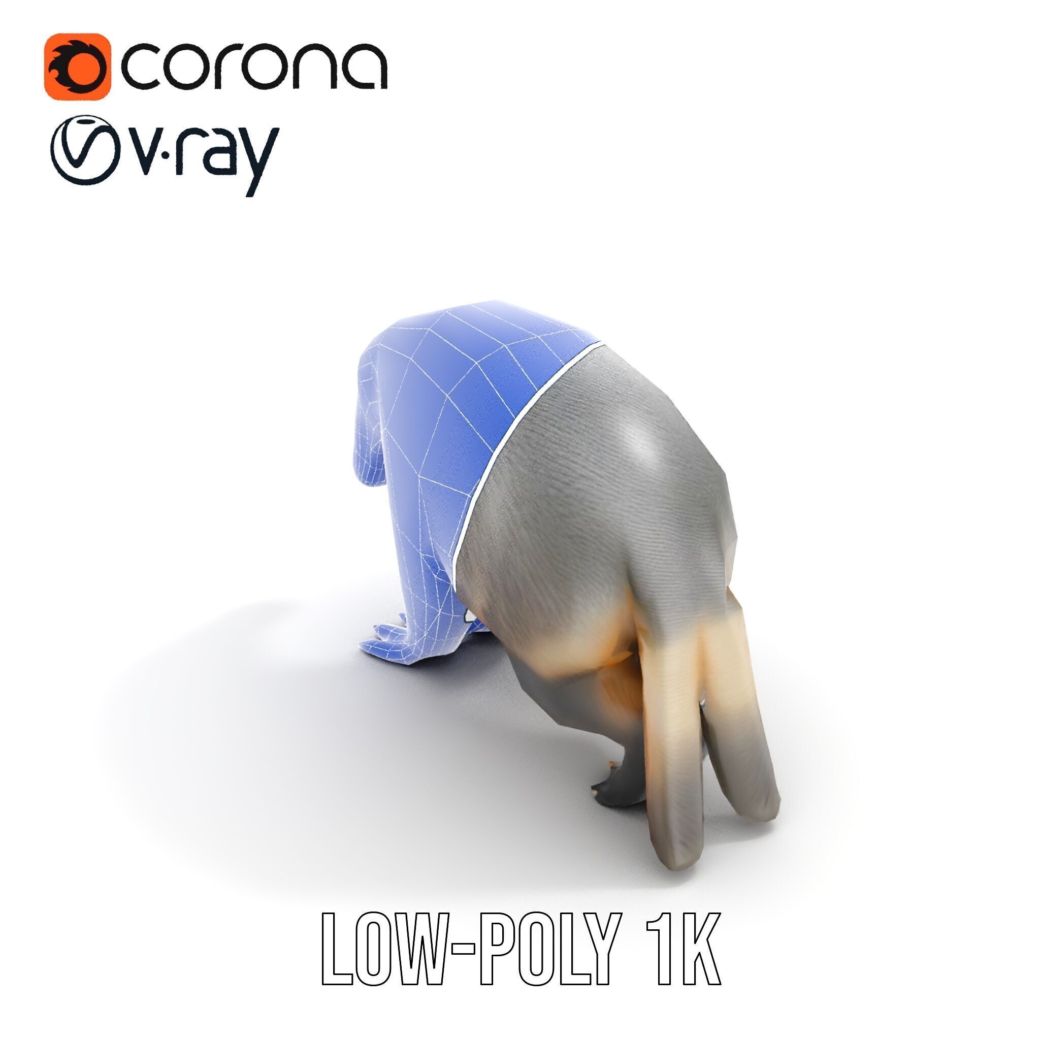 Anteater Model Pack  Detailed and Versatile D Creature Low-poly 3D model_14
