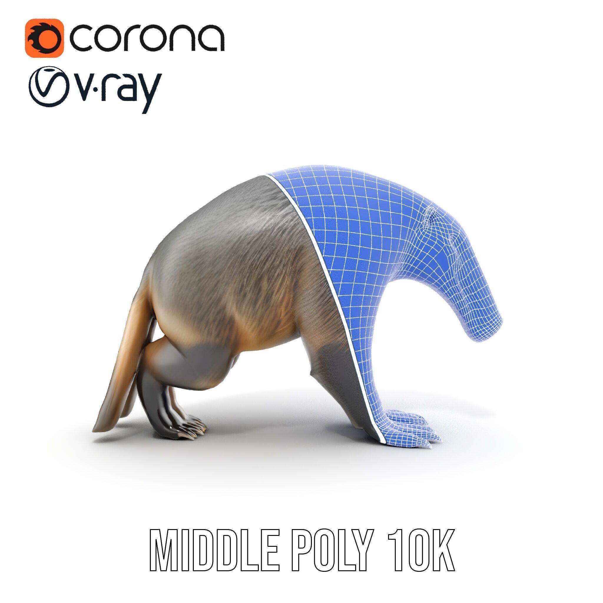 Anteater Model Pack  Detailed and Versatile D Creature Low-poly 3D model_32