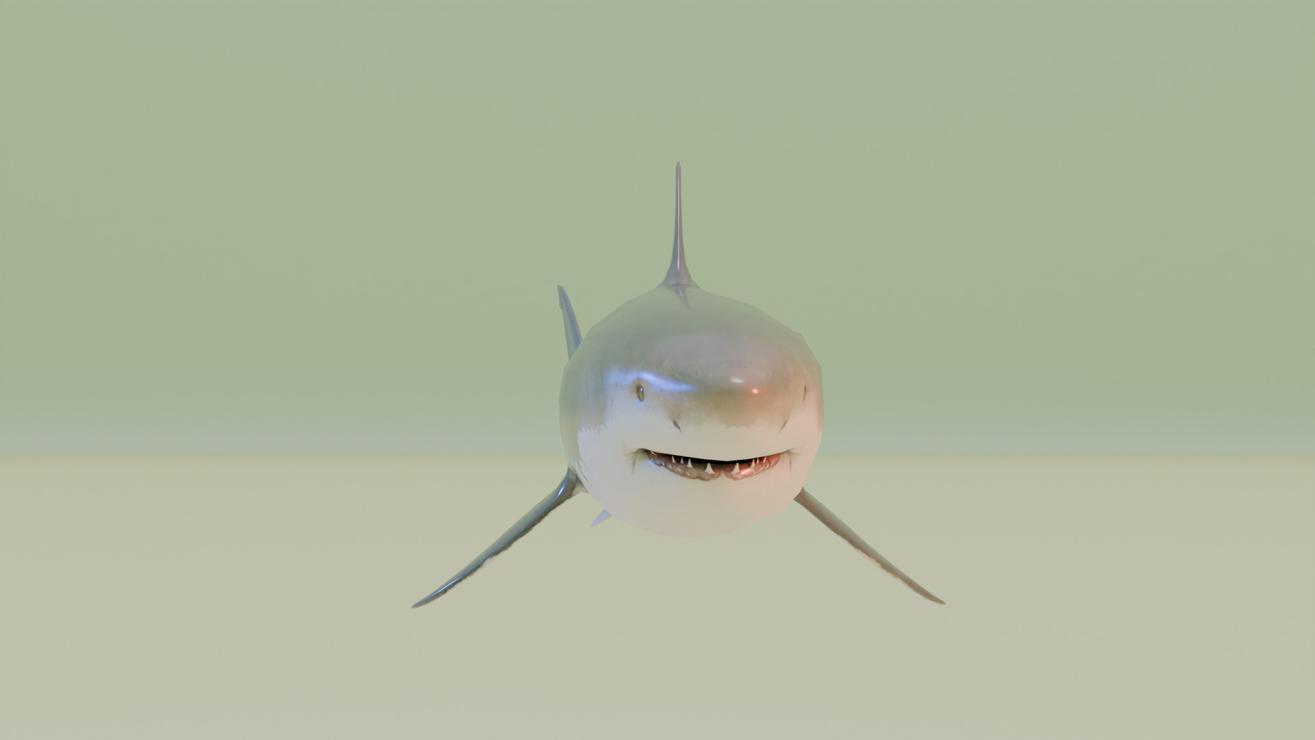 Shark 3D model_5