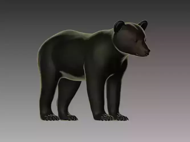 Bear Cub 3D Model