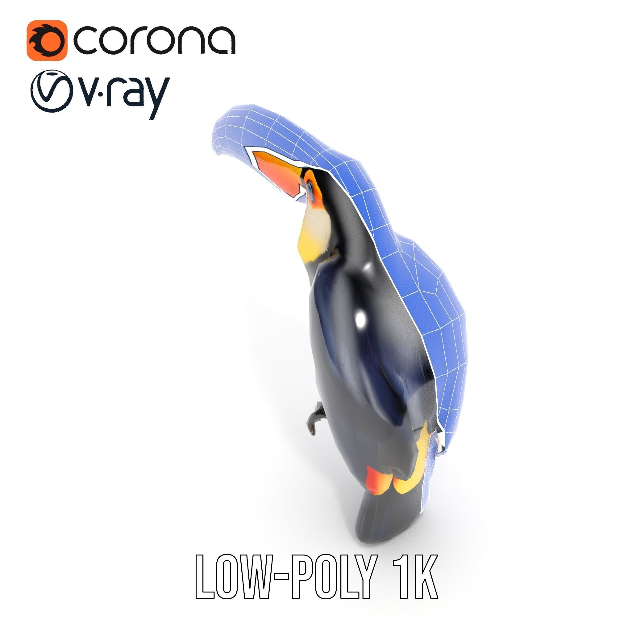 Tropical Toucan Bird D Model Pack Low-poly 3D model_30