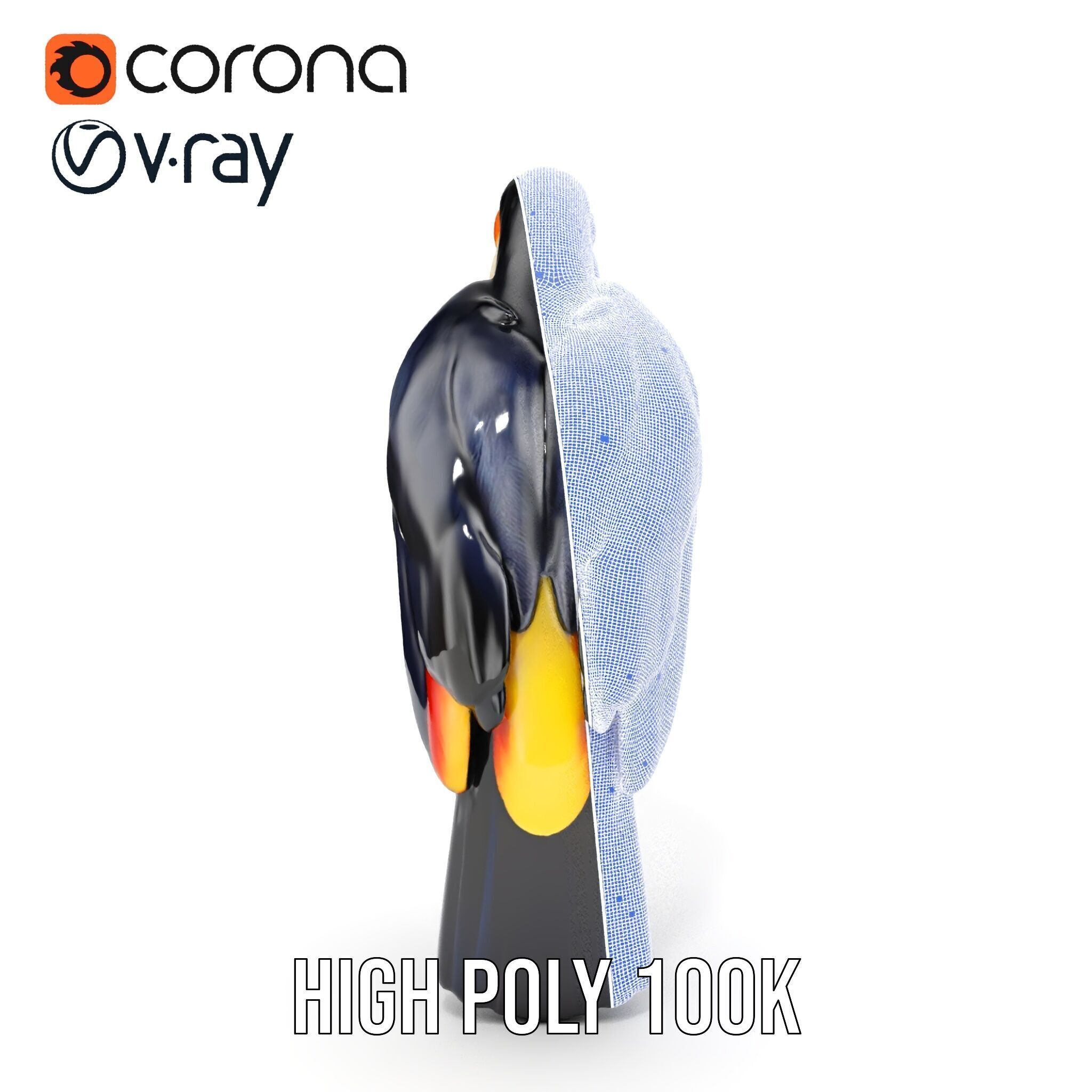 Tropical Toucan Bird D Model Pack Low-poly 3D model_39