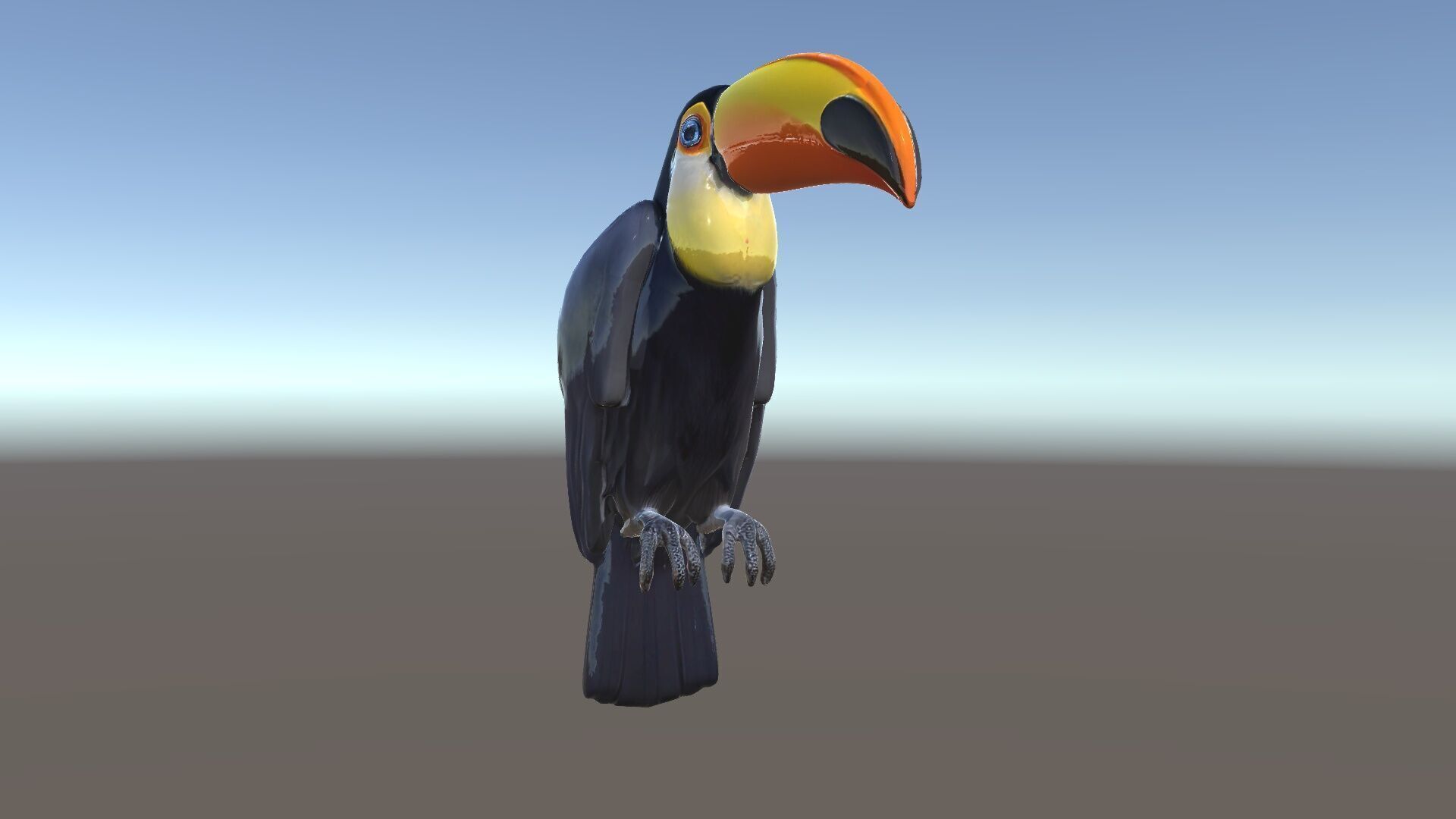 Tropical Toucan Bird D Model Pack Low-poly 3D model_34
