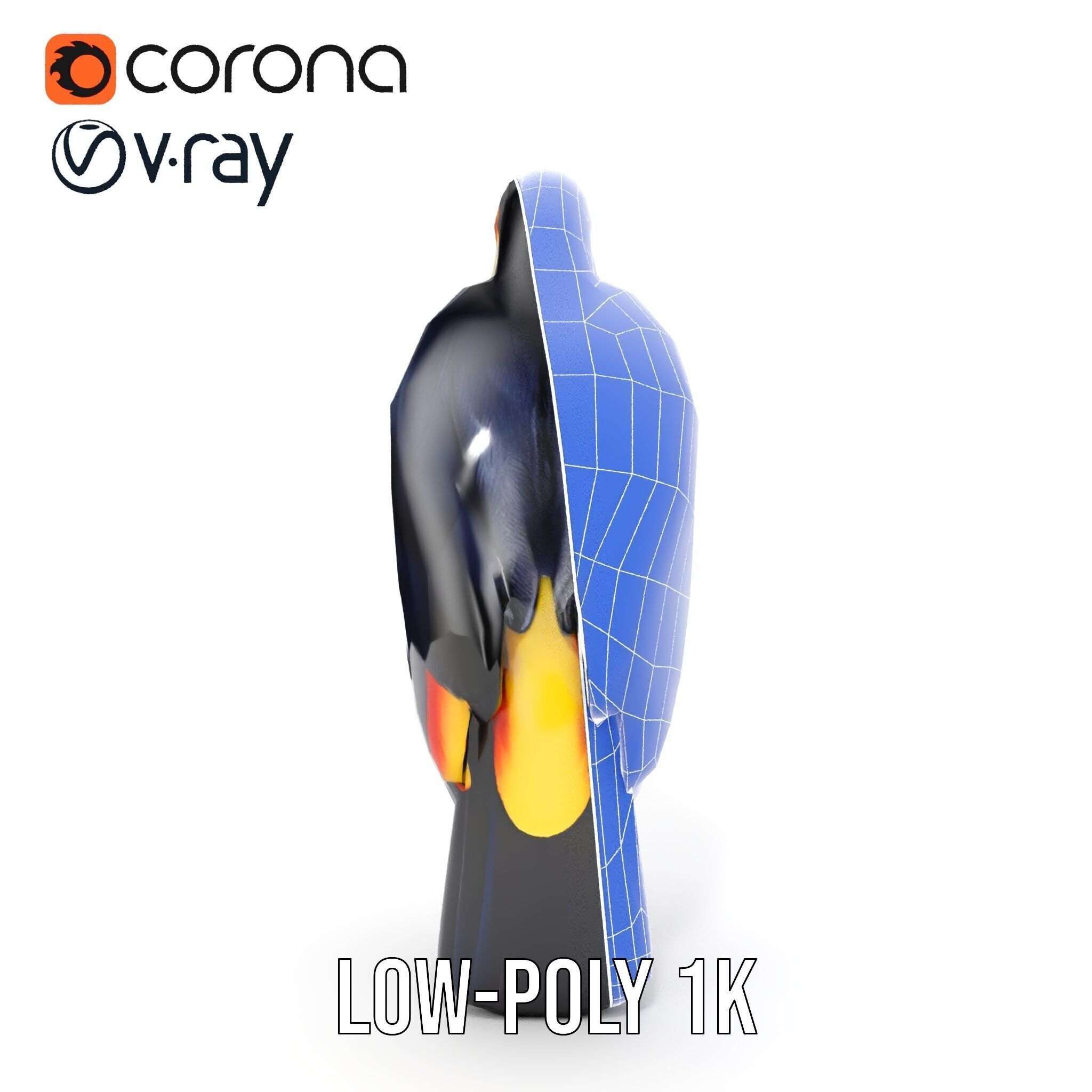 Tropical Toucan Bird D Model Pack Low-poly 3D model_24