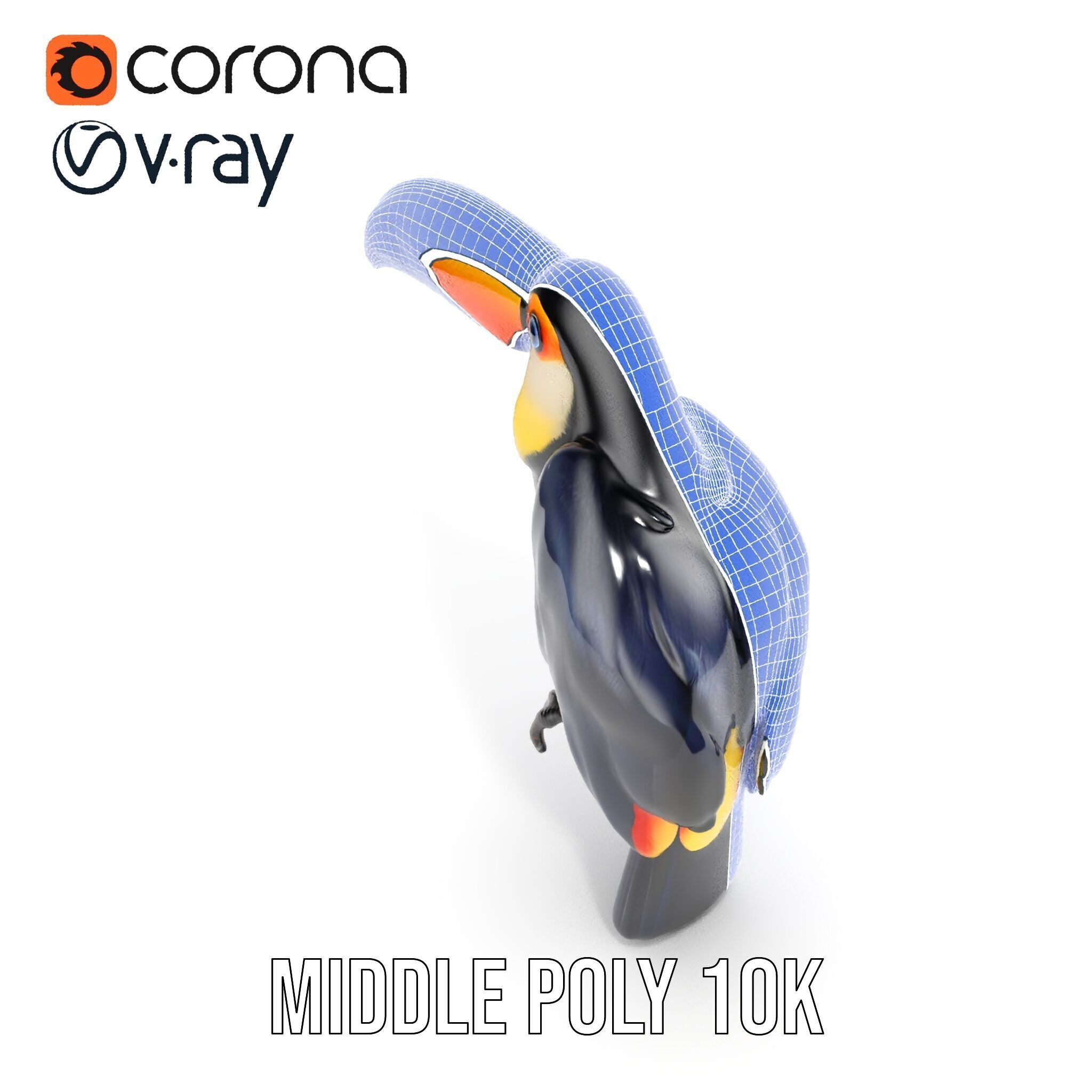 Tropical Toucan Bird D Model Pack Low-poly 3D model_13