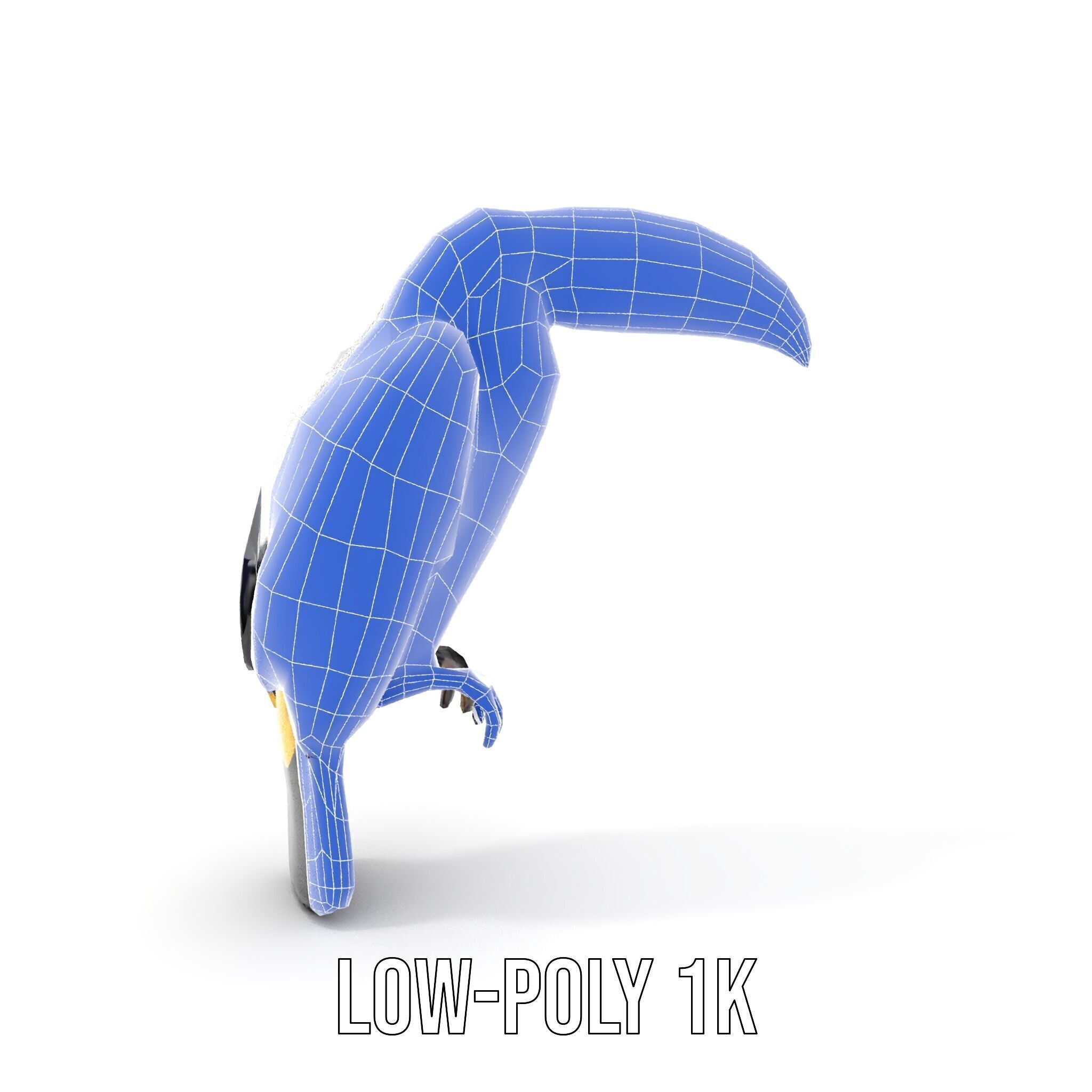 Tropical Toucan Bird D Model Pack Low-poly 3D model_21