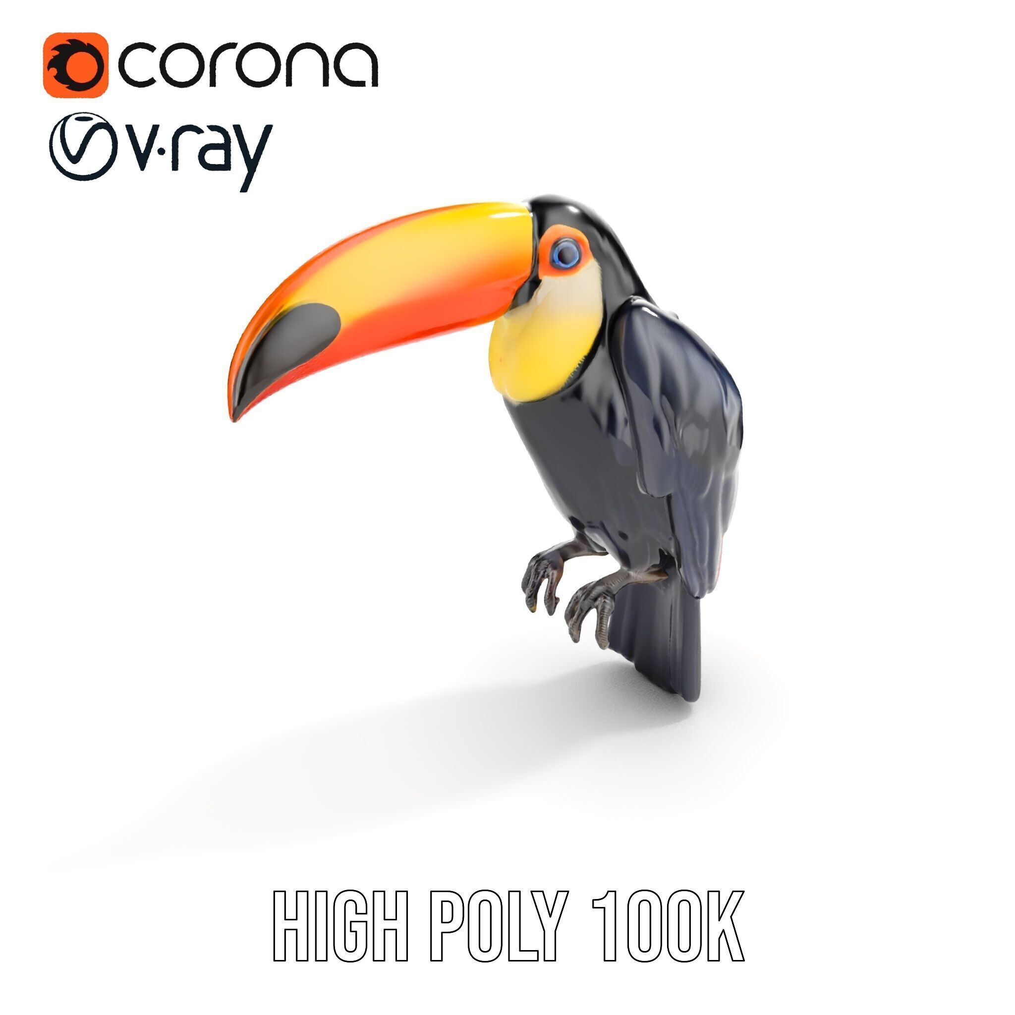 Tropical Toucan Bird D Model Pack Low-poly 3D model_28