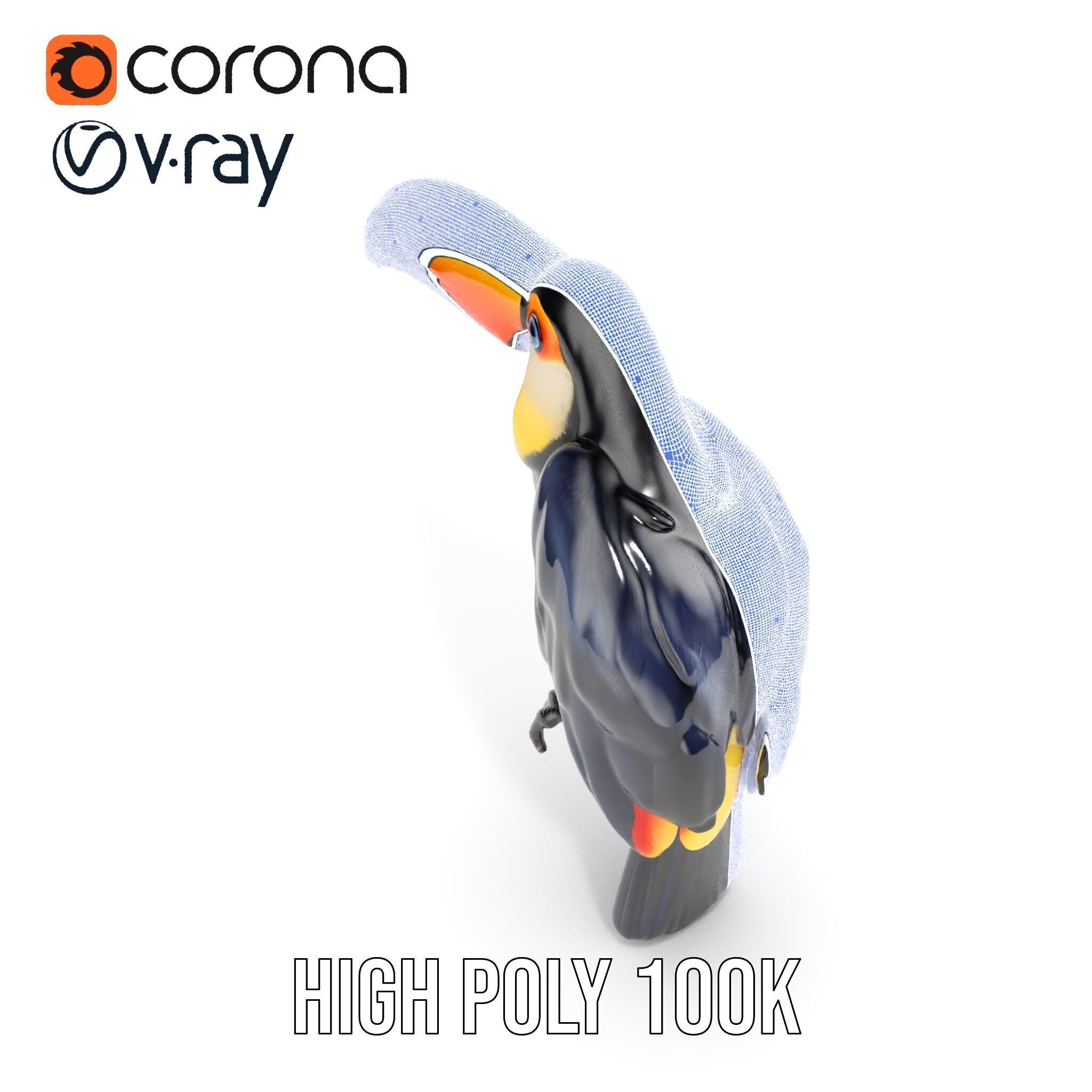 Tropical Toucan Bird D Model Pack Low-poly 3D model_38
