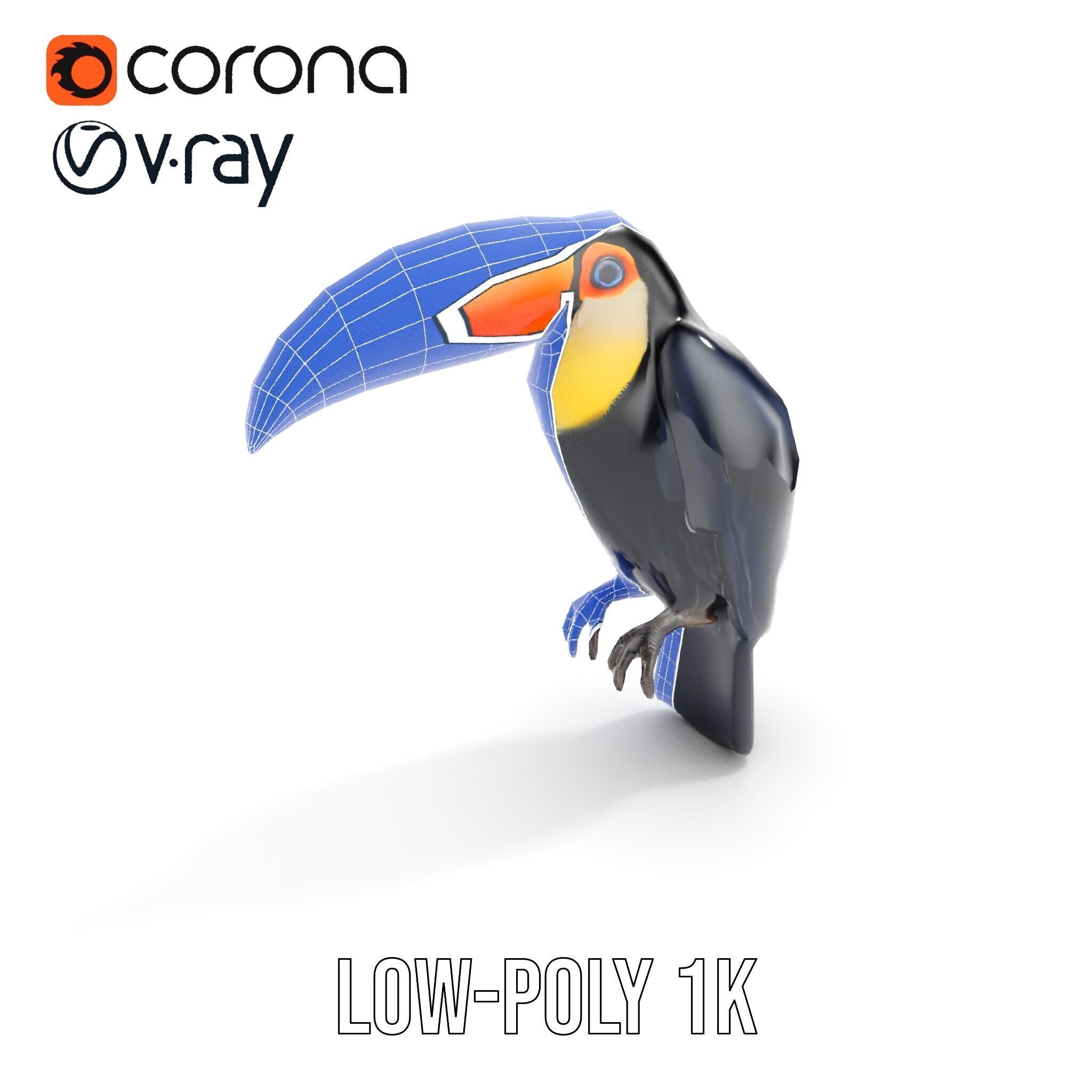 Tropical Toucan Bird D Model Pack Low-poly 3D model_8