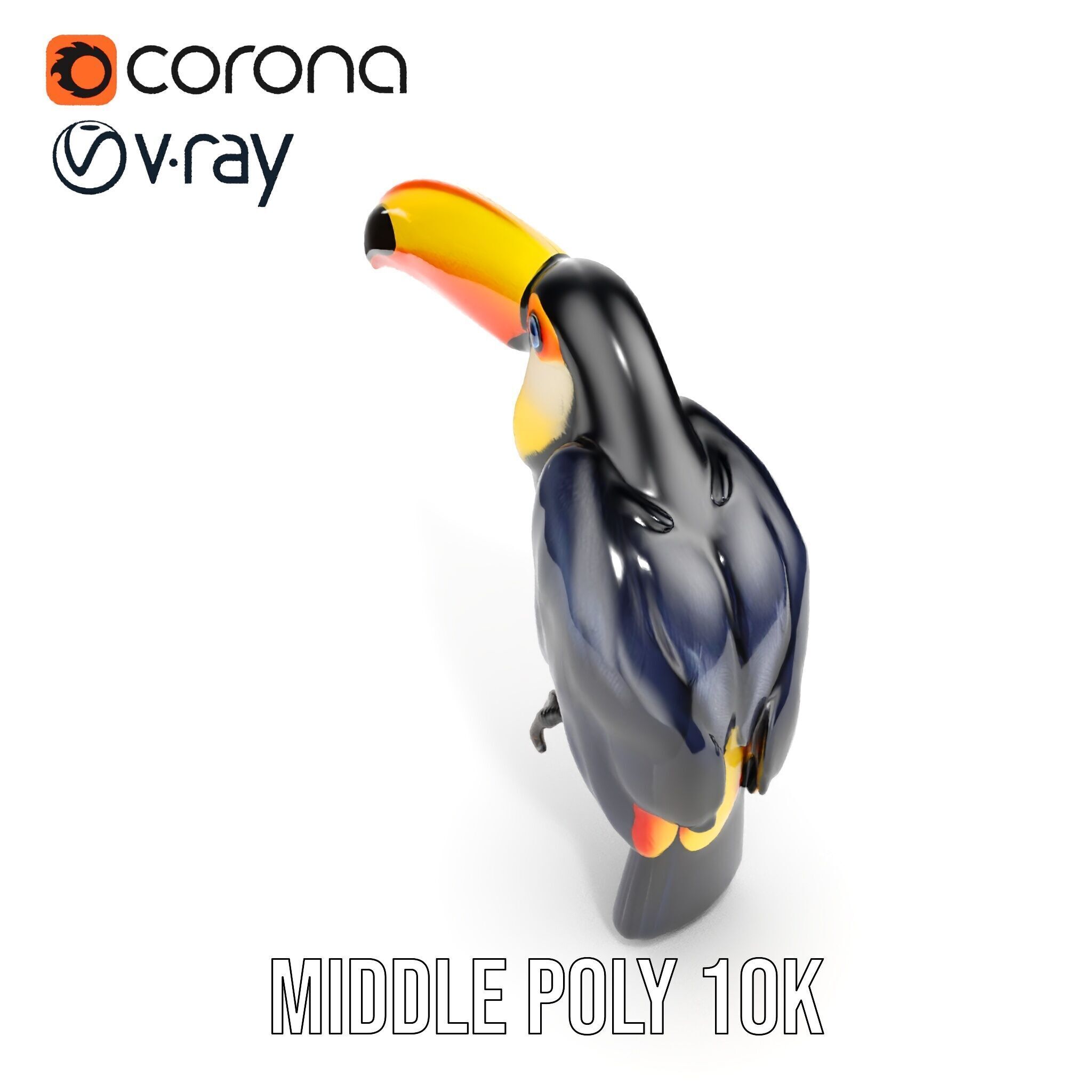 Tropical Toucan Bird D Model Pack Low-poly 3D model_26