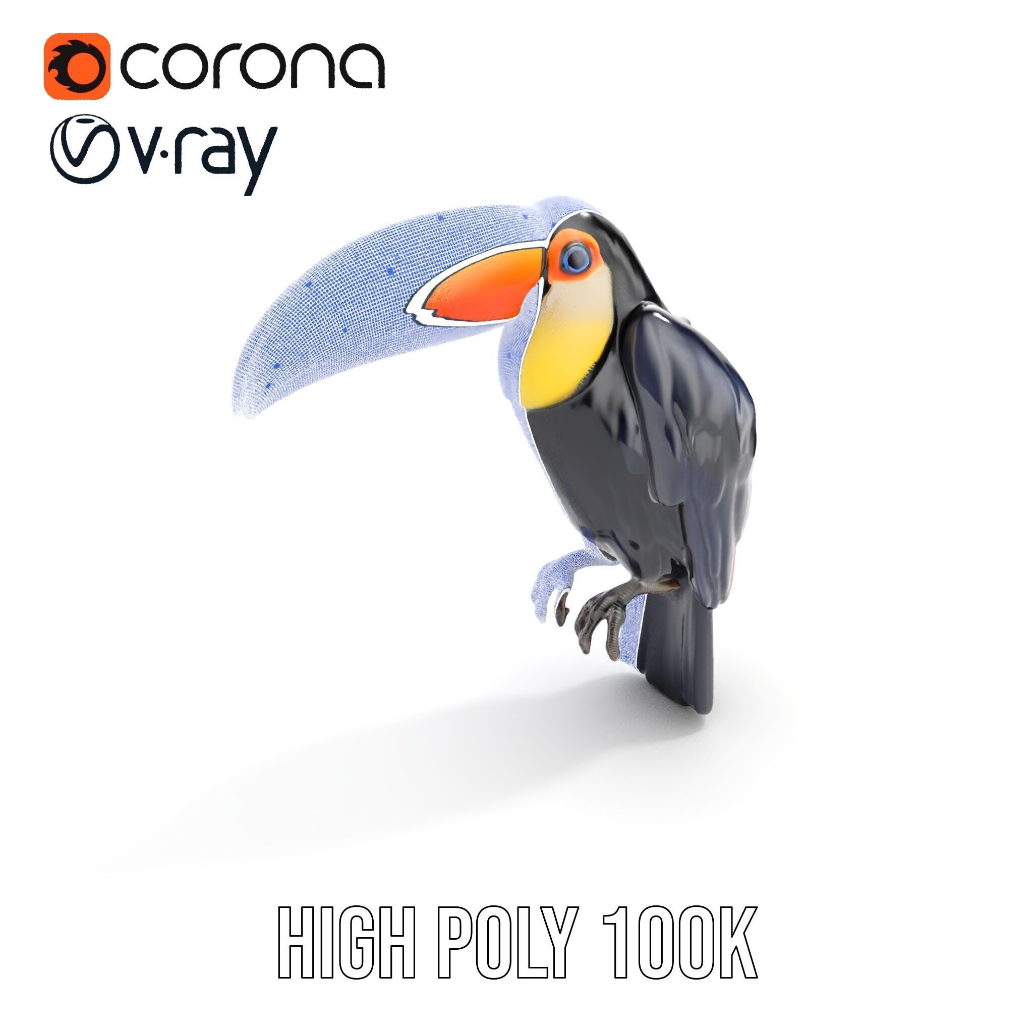 Tropical Toucan Bird D Model Pack Low-poly 3D model_37