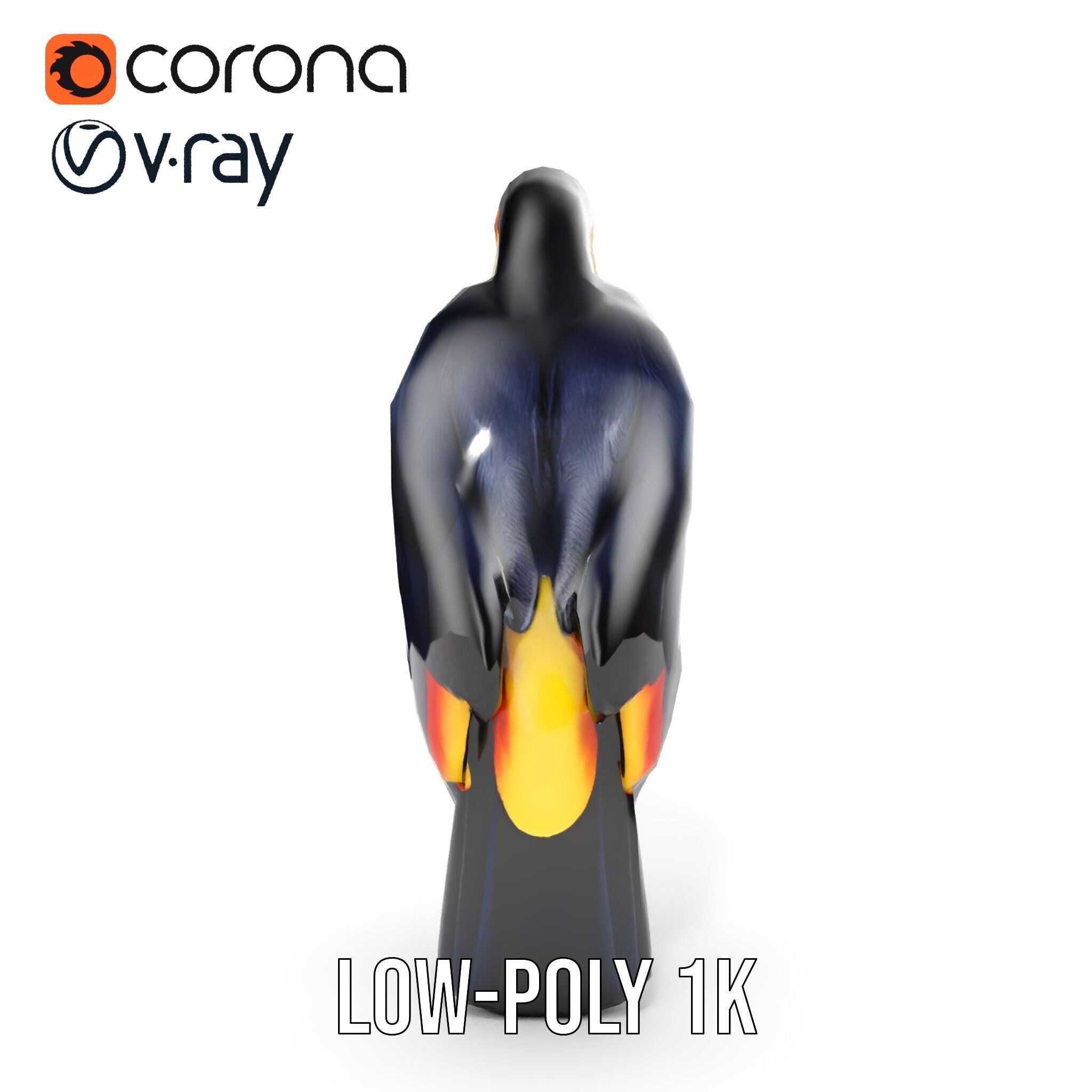 Tropical Toucan Bird D Model Pack Low-poly 3D model_14