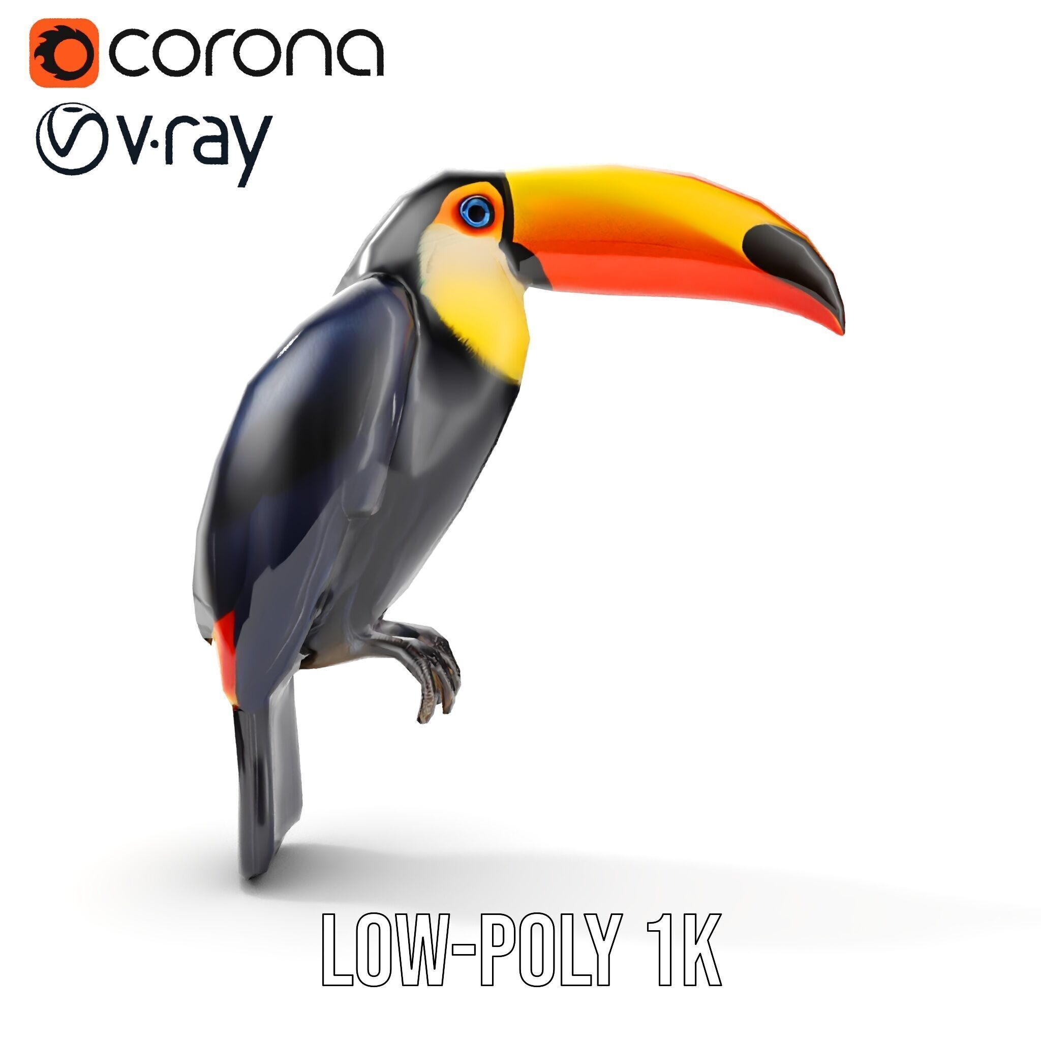 Tropical Toucan Bird D Model Pack Low-poly 3D model_27