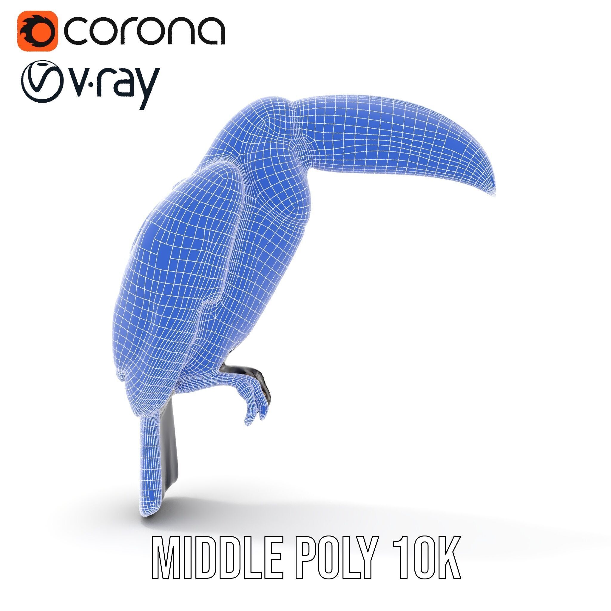 Tropical Toucan Bird D Model Pack Low-poly 3D model_29