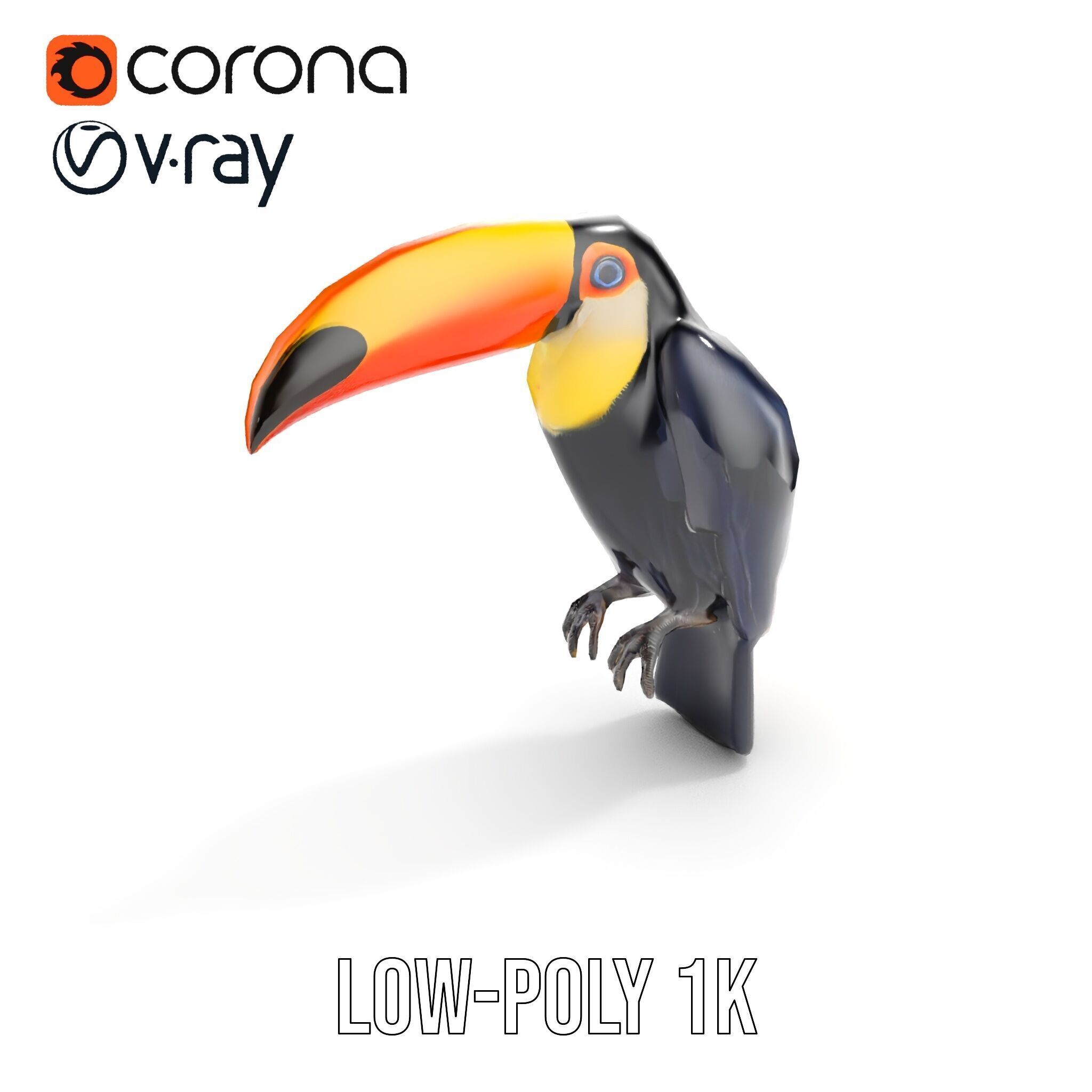 Tropical Toucan Bird D Model Pack Low-poly 3D model_17