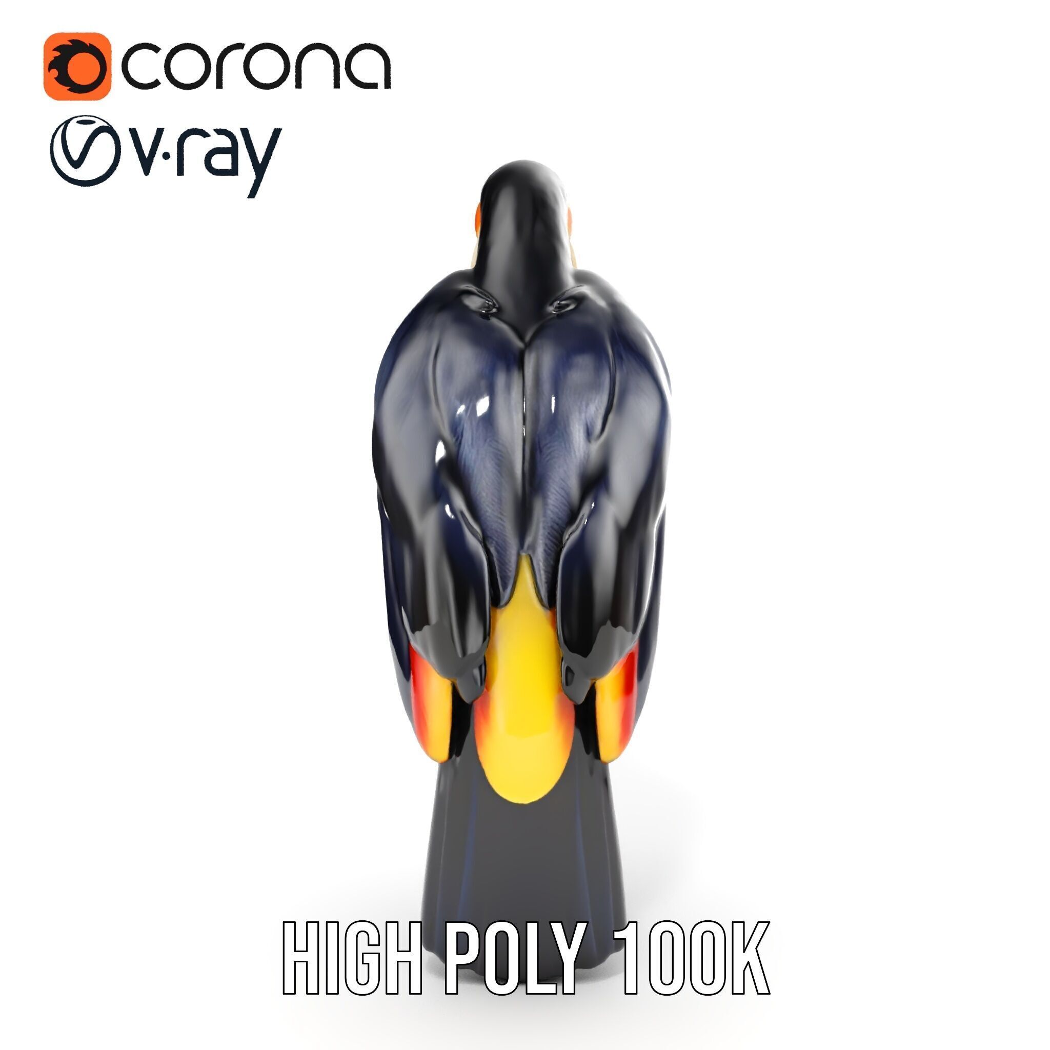 Tropical Toucan Bird D Model Pack Low-poly 3D model_22