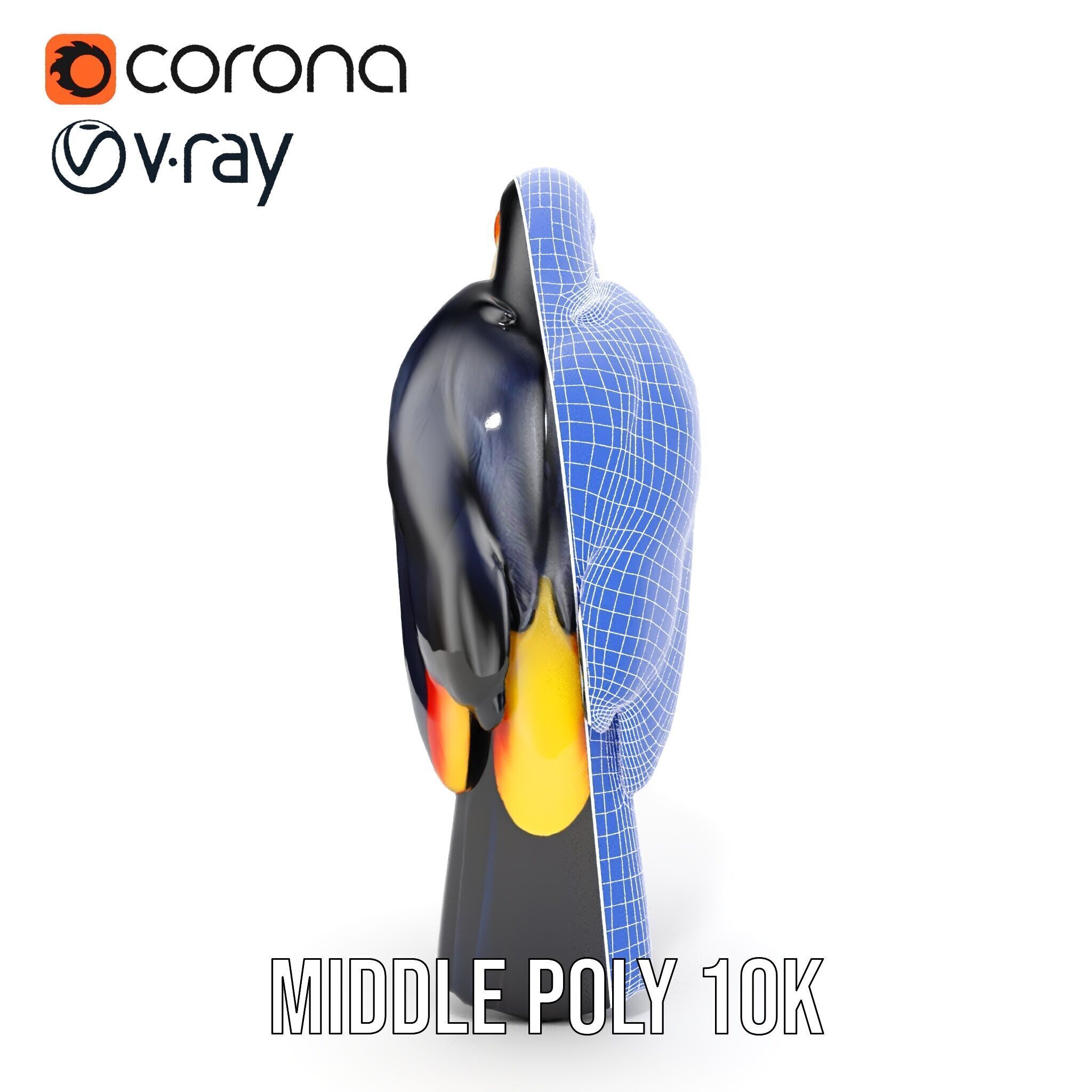 Tropical Toucan Bird D Model Pack Low-poly 3D model_20