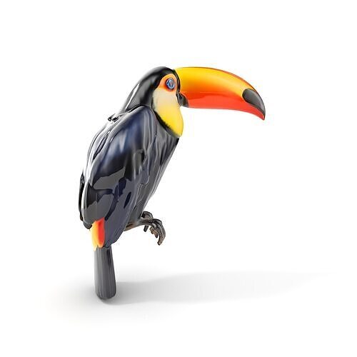 Tropical Toucan Bird D Model Pack Low-poly 3D model