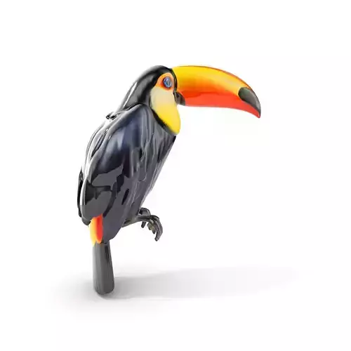 Tropical Toucan Bird D Model Pack Low-poly 3D model